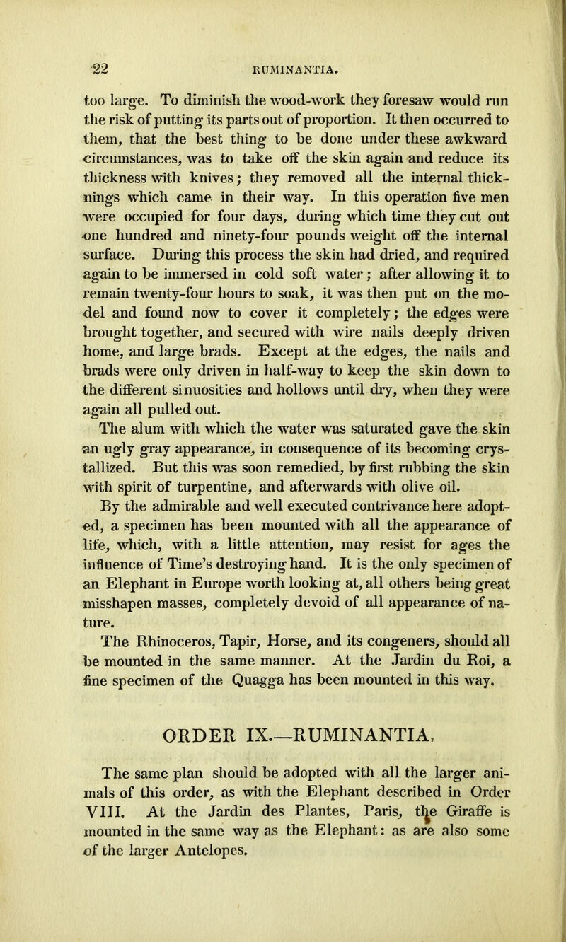 too large. To diminish the wood-work they foresaw would run the risk of putting- its parts out of proportion. It then occurred to them, that the best thing to be done under these awkward circumstances, was to take off the skin again and reduce its thickness with knives; they removed all the internal thick- nings which came in their way. In this operation five men were occupied for four days, during which time they cut out one hundred and ninety-four pounds weight off the internal surface. During this process the skin had dried, and required again to be immersed in cold soft water; after allowing it to remain twenty-four hours to soak, it was then put on the mo- del and found now to cover it completely; the edges were brought together, and secured with wire nails deeply driven home, and large brads. Except at the edges, the nails and brads were only driven in half-way to keep the skin down to the different sinuosities and hollows until dry, when they were again all pulled out. The alum with which the water was saturated gave the skin an ugly gray appearance, in consequence of its becoming crys- tallized. But this was soon remedied, by first rubbing the skin with spirit of turpentine, and afterwards with olive oil. By the admirable and well executed contrivance here adopt- ed, a specimen has been mounted with all the appearance of life, which, with a little attention, may resist for ages the influence of Time’s destroying hand. It is the only specimen of an Elephant in Europe worth looking at, all others being great misshapen masses, completely devoid of all appearance of na- ture. The Rhinoceros, Tapir, Horse, and its congeners, should all be mounted in the same manner. At the Jardin du Roi, a fine specimen of the Quagga has been mounted in this way. ORDER IX RUMINANTIA, The same plan should be adopted with all the larger ani- mals of this order, as with the Elephant described in Order VIII. At the Jardin des Plantes, Paris, tl^e Giraffe is mounted in the same way as the Elephant: as are also some of the larger Antelopes.