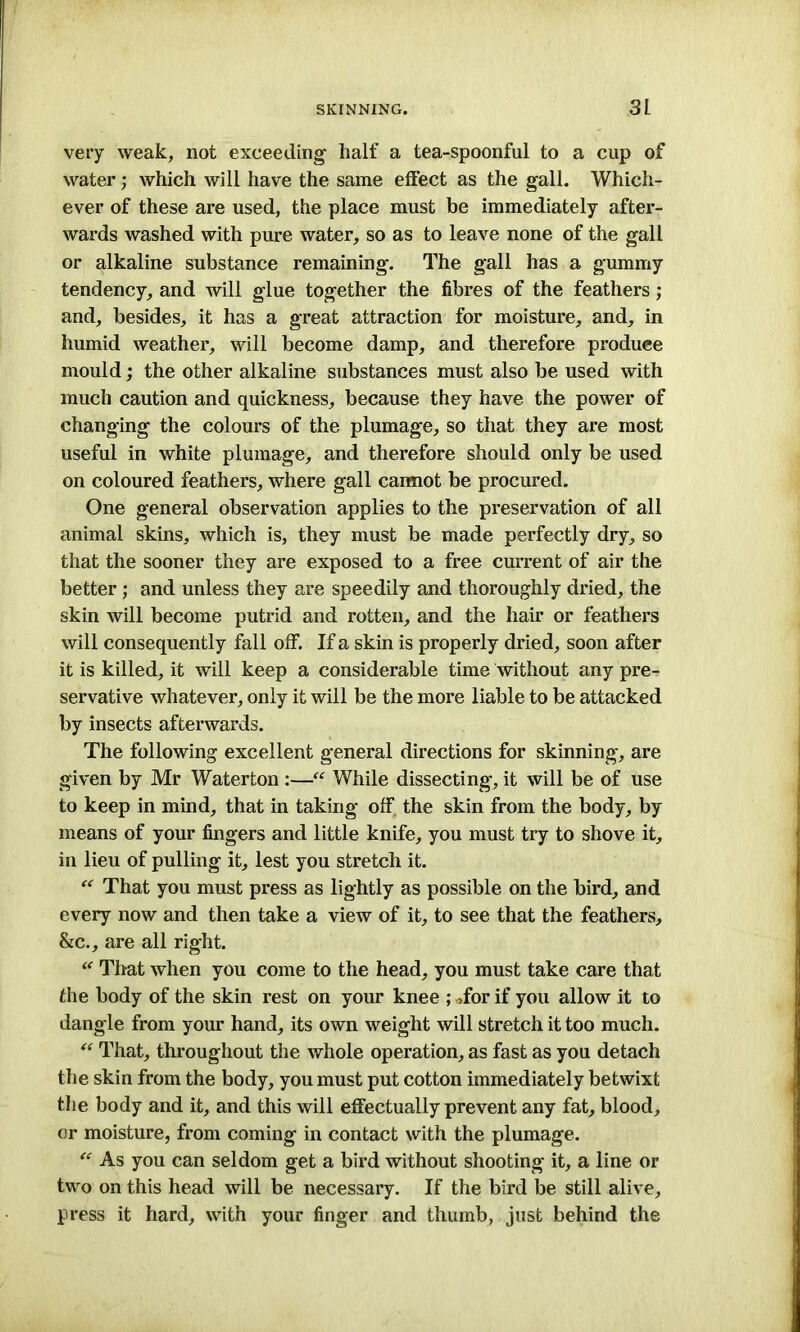 very weak, not exceeding half a tea-spoonful to a cup of water; which will have the same effect as the gall. Which- ever of these are used, the place must be immediately after- wards washed with pure water, so as to leave none of the gall or alkaline substance remaining. The gall has a gummy tendency, and will glue together the fibres of the feathers; and, besides, it has a great attraction for moisture, and, in humid weather, will become damp, and therefore produce mould; the other alkaline substances must also be used with much caution and quickness, because they have the power of changing the colours of the plumage, so that they are most useful in white plumage, and therefore should only be used on coloured feathers, where gall carmot be procured. One general observation applies to the preservation of all animal skins, which is, they must be made perfectly dry, so that the sooner they are exposed to a free current of air the better; and unless they are speedily and thoroughly dried, the skin will become putrid and rotten, and the hair or feathers will consequently fall off. If a skin is properly dried, soon after it is killed, it will keep a considerable time without any pre- servative whatever, only it will be the more liable to be attacked by insects afterwards. The following excellent general directions for skinning, are given by Mr Waterton :—“ While dissecting, it will be of use to keep in mind, that in taking off the skin from the body, by means of your fingers and little knife, you must try to shove it, in lieu of pulling it, lest you stretch it. “ That you must press as lightly as possible on the bird, and every now and then take a view of it, to see that the feathers, &c., are all right. “ That when you come to the head, you must take care that the body of the skin rest on your knee ; »for if you allow it to dangle from your hand, its own weight will stretch it too much. “ That, throughout the whole operation, as fast as you detach the skin from the body, you must put cotton immediately betwixt the body and it, and this will effectually prevent any fat, blood, or moisture, from coming in contact with the plumage. “ As you can seldom get a bird without shooting it, a line or two on this head will be necessary. If the bird be still alive, press it hard, with your finger and thumb, just behind the