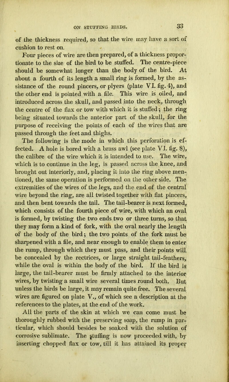 of the thickness required., so that the wire may have a sort of cushion to rest on. Four pieces of wire are then prepared, of a thickness propor- tionate to the size of the bird to be stuffed. The centre-piece should be somewhat longer than the body of the bird. At about a fourth of its length a small ring is formed, by the as- sistance of the round pincers, or plyers (plate VI. fig. 4), and the other end is pointed with a file. This wire is oiled, and introduced across the skull, and passed into the neck, through the centre of the flax or tow with which it is stuffed; the ring being situated towards the anterior part of the skull, for the purpose of receiving the points of each of the wires that are passed through the feet and thighs. The following is the mode in which this perforation is ef- fected. A hole is bored with a brass awl (see plate VI. fig. 8), the calibre of the wire which it is intended to use. The wire, which is to continue in the leg, is passed across the knee, and brought out interiorly, and, placing it into the ring above men- tioned, the same operation is performed on the other side. The extremities of the wires of the legs, and the end of the central wire beyond the ring, are all twisted together with fiat pincers, and then bent towards the tail. The tail-bearer is next formed, which consists of the fourth piece of wire, with which an oval is formed, by twisting the two ends two or three turns, so that they may form a kind of fork, with the oval nearly the length of the body of the bird; the two points of the fork must be sharpened with a file, and near enough to enable them to enter the rump, through which they must pass, and their points will be concealed by the rectrices, or large straight tail-feathers, while the oval is within the body of the bird. If the bird is large, the tail-bearer must be firmly attached to the interior wires, by twisting a small wire several times round both. But unless the birds be large, it may remain quite free. The several wires are figured on plate V., of which see a description at the references to the plates, at the end of the work. All the parts of the skin at which we can come must be thoroughly rubbed with the preserving soap, the rump in par- ticular, which should besides be soaked with the solution of corrosive sublimate. The fluffing is now proceeded with, by inserting chopped flax or tow, till it has attained its proper