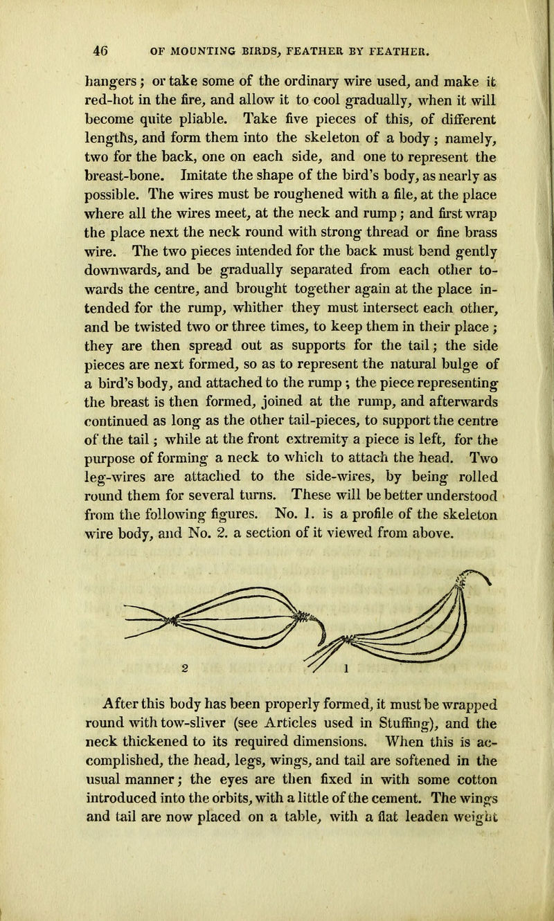 hangers; or take some of the ordinary wire used, and make it red-hot in the fire, and allow it to cool gradually, when it will become quite pliable. Take five pieces of this, of different lengths, and form them into the skeleton of a body ; namely, two for the back, one on each side, and one to represent the breast-bone. Imitate the shape of the bird’s body, as nearly as possible. The wires must be roughened with a file, at the place where all the wires meet, at the neck and rump; and first wrap the place next the neck round with strong thread or fine brass wire. The two pieces intended for the back must bend gently downwards, and be gradually separated from each other to- wards the centre, and brought together again at the place in- tended for the rump, whither they must intersect each other, and be twisted two or three times, to keep them in their place ; they are then spread out as supports for the tail; the side pieces are next formed, so as to represent the natural bulge of a bird’s body, and attached to the rump •, the piece representing the breast is then formed, joined at the rump, and afterwards continued as long as the other tail-pieces, to support the centre of the tail; while at the front extremity a piece is left, for the purpose of forming a neck to which to attach the head. Two leg-wires are attached to the side-wires, by being rolled round them for several turns. These will be better understood from the following figures. No. 1. is a profile of the skeleton wire body, and No. 2. a section of it viewed from above. After this body has been properly formed, it must be wrapped round with tow-sliver (see Articles used in Stuffing), and the neck thickened to its required dimensions. When this is ac- complished, the head, legs, wings, and tail are softened in the usual manner; the eyes are then fixed in with some cotton introduced into the orbits, with a little of the cement. The wings and tail are now placed on a table, with a fiat leaden weight