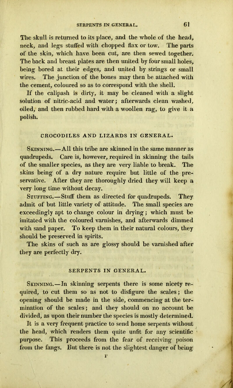 The skull is returned to its place, and the whole of the head, neck, and leg’s stuffed with chopped flax or tow. The parts of the skin, which have been cut, are then sewed together. The back and breast plates are then united by four small holes, being bored at their edges, and united by strings or small wires. The junction of the bones may then be attached with the cement, coloured so as to correspond with the shell. If the calipash is dirty, it may be cleaned with a slight solution of nitric-acid and water; afterwards clean washed, oiled, and then rubbed hard with a woollen rag, to give it a polish. CROCODILES AND LIZARDS IN GENERAL. Skinning.—All this tribe are skinned in the same manner as quadrupeds. Care is, however, required in skinning the tails of the smaller species, as they are very liable to break. The skins being of a dry nature require but little of the pre- servative. After they are thoroughly dried they will keep a very long time without decay. Stuffing.—Stuff them as directed for quadrupeds. They admit of but little variety of attitude. The small species are exceedingly apt to change colour in drying; which must be imitated with the coloured varnishes, and afterwards dimmed with sand paper. To keep them in their natural colours, they should be preserved in spirits. The skins of such as are glossy should be varnished after they are perfectly dry. SERPENTS IN GENERAL. Skinning.—In skinning serpents there is some nicety re- quired, to cut them so as not to disfigure the scales; the opening should be made in the side, commencing at the ter- mination of the scales; and they should on no account be divided, as upon their number the species is mostly determined. It is a very frequent practice to send home serpents without the head, which renders them quite unfit for any scientific purpose. This proceeds from the fear of receiving poison from the fangs. But there is not the slightest danger of being p