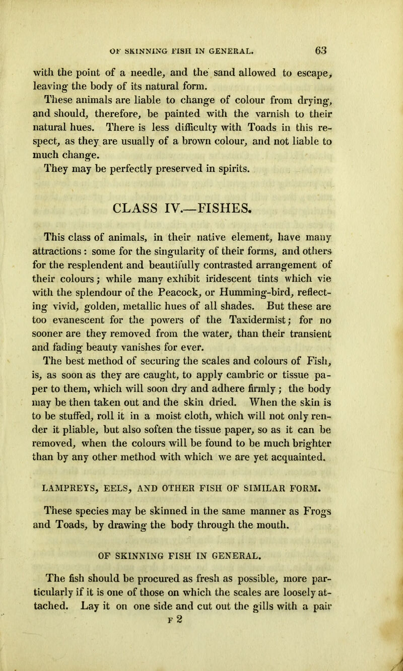 with the point of a needle, and the sand allowed to escape, leaving- the body of its natural form. These animals are liable to change of colour from drying-, and should, therefore, be painted with the varnish to their natural hues. There is less difficulty with Toads in this re- spect, as they are usually of a brown colour, and not liable to much change. They may be perfectly preserved in spirits. CLASS IV.—FISHES. This class of animals, in their native element, have many attractions : some for the singularity of their forms, and others for the resplendent and beautifully contrasted arrangement of their colours; while many exhibit iridescent tints which vie with the splendour of the Peacock, or Humming-bird, reflect- ing vivid, golden, metallic hues of all shades. But these are too evanescent for the powers of the Taxidermist; for no sooner are they removed from the water, than their transient and fading beauty vanishes for ever. The best method of securing the scales and colours of Fish, is, as soon as they are caught, to apply cambric or tissue pa- per to them, which will soon dry and adhere firmly; the body may be then taken out and the skin dried. When the skin is to be stuffed, roll it in a moist cloth, which will not only ren- der it pliable, but also soften the tissue paper, so as it can be removed, when the colours will be found to be much brighter than by any other method with which we are yet acquainted. LAMPREYS, EELS, AND OTHER FISH OF SIMILAR FORM. These species may be skinned in the same manner as Frogs and Toads, by drawing the body through the mouth. OF SKINNING FISH IN GENERAL. The fish should be procured as fresh as possible, more par- ticularly if it is one of those on which the scales are loosely at- tached. Lay it on one side and cut out the gills with a pair f 2