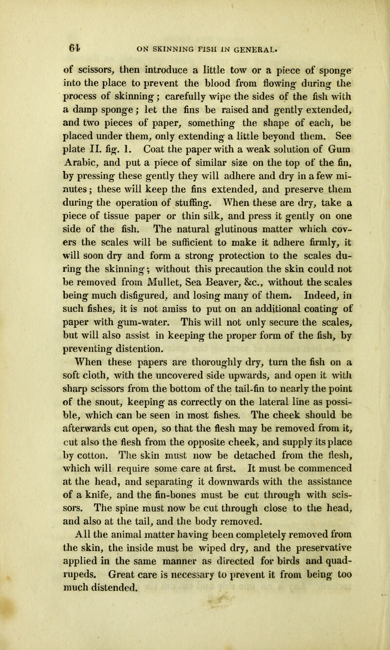 61 of scissors, then introduce a little tow or a piece of sponge into the place to prevent the blood from flowing during the process of skinning; carefully wipe the sides of the fish with a damp sponge; let the fins be raised and gently extended, and two pieces of paper, something the shape of each, be placed under them, only extending a little beyond them. See plate II. fig. 1. Coat the paper with a weak solution of Gum Arabic, and put a piece of similar size on the top of the fin, by pressing these gently they will adhere and dry in a few mi- nutes ; these will keep the fins extended, and preserve them during the operation of stuffing. When these are dry, take a piece of tissue paper or thin silk, and press it gently on one side of the fish. The natural glutinous matter which cov- ers the scales will be sufficient to make it adhere firmly, it will soon dry and form a strong protection to the scales du- ring the skinning; without this precaution the skin could not be removed from Mullet, Sea Beaver, &c., without the scales being much disfigured, and losing many of them. Indeed, in such fishes, it is not amiss to put on an additional coating of paper with gum-water. This will not only secure the scales, but will also assist in keeping the proper form of the fish, by preventing distention. When these papers are thoroughly dry, turn the fish on a soft cloth, with the uncovered side upwards, and open it with sharp scissors from the bottom of the tail-fin to nearly the point of the snout, keeping as correctly on the lateral line as possi- ble, which can be seen in most fishes. The cheek should be afterwards cut open, so that the flesh may be removed from it, cut also the flesh from the opposite cheek, and supply its place by cotton. The skin must now be detached from the flesh, which will require some care at first. It must be commenced at the head, and separating it downwards with the assistance of a knife, and the fin-bones must be cut through with scis- sors. The spine must now be cut through close to the head, and also at the tail, and the body removed. All the animal matter having been completely removed from the skin, the inside must be wiped dry, and the preservative applied in the same manner as directed for birds and quad- rupeds. Great care is necessary to prevent it from being too much distended.