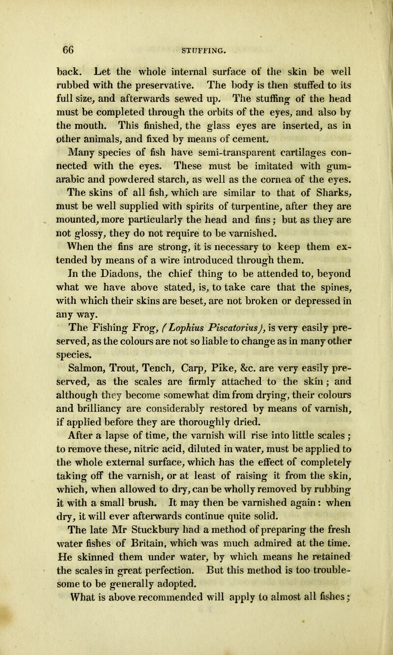 back. Let the whole internal surface of the skin be well rubbed with the preservative. The body is then stuffed to its full size, and afterwards sewed up. The stuffing of the head must be completed through the orbits of the eyes, and also by the mouth. This finished, the glass eyes are inserted, as in other animals, and fixed by means of cement. Many species of fish have semi-transparent cartilages con- nected with the eyes. These must be imitated with gum- arabic and powdered starch, as well as the cornea of the eyes. The skins of all fish, which are similar to that of Sharks, must be well supplied with spirits of turpentine, after they are mounted, more particularly the head and fins; but as they are not glossy, they do not require to be varnished. When the fins are strong, it is necessary to keep them ex- tended by means of a wire introduced through them. In the Diadons, the chief thing to be attended to, beyond what we have above stated, is, to take care that the spines, with which their skins are beset, are not broken or depressed in any way. The Fishing Frog, ( Lophius Piscatorius), is very easily pre- served, as the colours are not so liable to change as in many other species. Salmon, Trout, Tench, Carp, Pike, &c. are very easily pre- served, as the scales are firmly attached to the skin; and although they become somewhat dim from drying, their colours and brilliancy are considerably restored by means of varnish, if applied before they are thoroughly dried. After a lapse of time, the varnish will rise into little scales ; to remove these, nitric acid, diluted in water, must be applied to the whole external surface, which has the effect of completely taking off the varnish, or at least of raising it from the skin, which, when allowed to dry, can be wholly removed by rubbing it with a small brush. It may then be varnished again: when dry, it will ever afterwards continue quite solid. The late Mr Stuckbury had a method of preparing the fresh water fishes of Britain, which was much admired at the time. He skinned them under water, by which means he retained the scales in great perfection. But this method is too trouble- some to be generally adopted. What is above recommended will apply to almost all fishes;