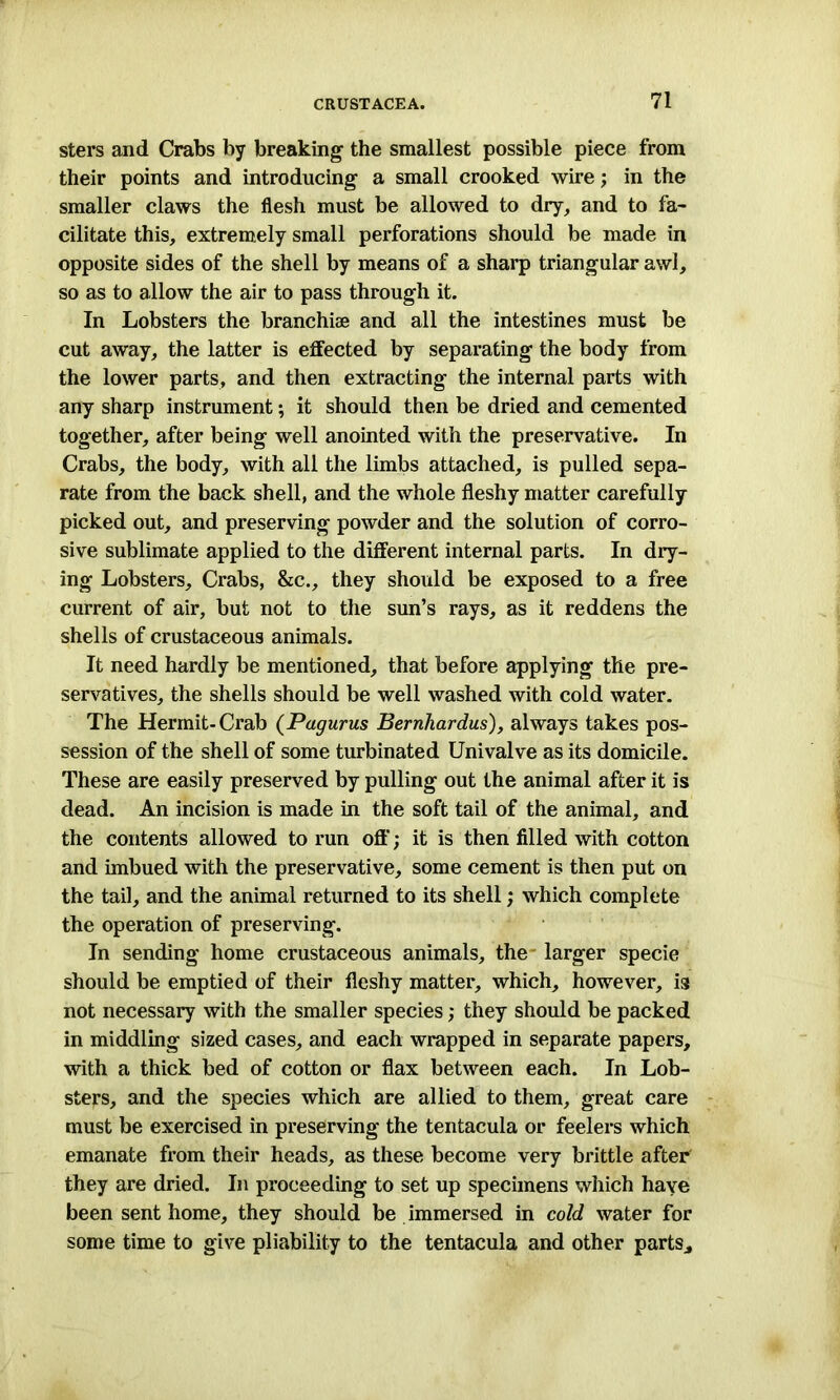 sters and Crabs by breaking the smallest possible piece from their points and introducing a small crooked wire; in the smaller claws the flesh must be allowed to dry, and to fa- cilitate this, extremely small perforations should be made in opposite sides of the shell by means of a sharp triangular awl, so as to allow the air to pass through it. In Lobsters the branchiae and all the intestines must be cut away, the latter is effected by separating the body from the lower parts, and then extracting the internal parts with any sharp instrument; it should then be dried and cemented together, after being well anointed with the preservative. In Crabs, the body, with all the limbs attached, is pulled sepa- rate from the back shell, and the whole fleshy matter carefully picked out, and preserving powder and the solution of corro- sive sublimate applied to the different internal parts. In dry- ing Lobsters, Crabs, &c., they should be exposed to a free current of air, but not to the sun’s rays, as it reddens the shells of crustaceous animals. It need hardly be mentioned, that before applying the pre- servatives, the shells should be well washed with cold water. The Hermit-Crab (Pagurus Bernhardus), always takes pos- session of the shell of some turbinated Univalve as its domicile. These are easily preserved by pulling out the animal after it is dead. An incision is made in the soft tail of the animal, and the contents allowed to run oft'; it is then filled with cotton and imbued with the preservative, some cement is then put on the tail, and the animal returned to its shell; which complete the operation of preserving. In sending home crustaceous animals, the larger specie should be emptied of their fleshy matter, which, however, is not necessary with the smaller species; they should be packed in middling sized cases, and each wrapped in separate papers, with a thick bed of cotton or flax between each. In Lob- sters, and the species which are allied to them, great care must be exercised in preserving the tentacula or feelers which emanate from their heads, as these become very brittle after they are dried. In proceeding to set up specimens which have been sent home, they should be immersed in cold water for some time to give pliability to the tentacula and other parts.