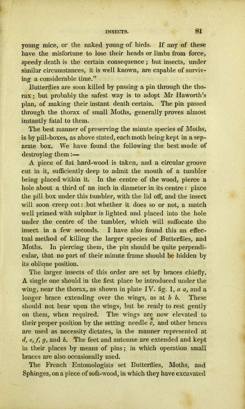 young mice, or the naked young of birds. If any of these have the misfortune to lose their heads or limbs from force, speedy death is the certain consequence; but insects, under similar circumstances, it is well known, are capable of surviv- ing a considerable time.” Butterflies are soon killed by passing a pin through the tho- rax ; but probably the safest way is to adopt Mr Haworth’s plan, of making their instant death certain. The pin passed through the thorax of small Moths, generally proves almost instantly fatal to them. The best manner of preserving the minute species of Moths, is by pill-boxes, as above stated, each moth being kept in a sep- arate box. We have found the following the best mode of destroying them A piece of flat hard-wood is taken, and a circular groove cut in it, sufficiently deep to admit the mouth of a tumbler being placed within it. In the centre of the wood, pierce a hole about a third of an inch in diameter in its centre: place the pill box under this tumbler, with the lid off, and the insect will soon creep out: but whether it does so or not, a match well primed with sulphur is lighted and placed into the hole under the centre of the tumbler, which will suffocate the insect in a few seconds. I have also found this an effec- tual method of killing the larger species of Butterflies, and Moths. In piercing them, the pin should be quite perpendi- cular, that no part of their minute frame should be hidden by its oblique position. The larger insects of this order are set by braces chiefly. A single one should in the first place be introduced under the wing, near the thorax, as shown in plate IV. fig. 1, a a, and a longer brace extending over the wings, as at b b. These should not bear upon the wings, but be ready to rest gently on them, when required. The wings are now elevated to their proper position by the setting needle c, and other braces are used as necessity dictates, in the manner represented at d, e,f, g, and h. The feet and antenna are extended and kept in their places by means of pins; in which operation small braces are also occasionally used. The French Entomologists set Butterflies, Moths, and Sphinges, on a piece of soft-wood, in which they have excavated