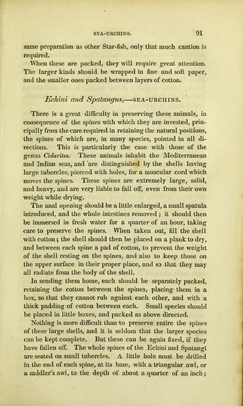 same preparation as other Star-fish,, only that much caution is required. When these are packed, they will require great attention. The larger kinds should be wrapped in fine and soft paper, and the smaller ones packed between layers of cotton. Echini and Spatangus,—sea-urchins. There is a great difficulty in preserving these animals, in consequence of the spines with which they are invested, prin- cipally from the care required in retaining the natural positions, the spines of which are, in many species, pointed in all di- rections. This is particularly the case with those of the genus Cidarites. These animals inhabit the Mediterranean and Indian seas, and are distinguished by the shells having large tubercles, pierced with holes, for a muscular cord which moves the spines. These spines are extremely large, solid, and heavy, and are very liable to fall off, even from their own weight while drying. The anal opening should be a little enlarged, a small spatula introduced, and the whole intestines removed ; it should then be immersed in fresh water for a quarter of an hour, taking care to preserve the spines. When taken out, fill the shell with cotton; the shell should then be placed on a plank to dry, and between each spine a pad of cotton, to prevent the weight of the shell resting on the spines, and also to keep those on the upper surface in their proper place, and so that they may all radiate from the body of the shell. In sending them home, each should be separately packed, retaining the cotton between the spines, placing them in a box, so that they cannot rub against each other, and with a thick padding of cotton between each. Small species should be placed in little boxes, and packed as above directed. Nothing is more difficult than to preserve entire the spines of these large shells, and it is seldom that the larger species can be kept complete. But these can be again fixed, if they have fallen off. The whole spines of the Echini and Spatangi are seated on small tubercles. A little hole must be drilled in the end of each spine, at its base, with a triangular awl, or a saddler’s awl, to the depth of about a quarter of an inch ;