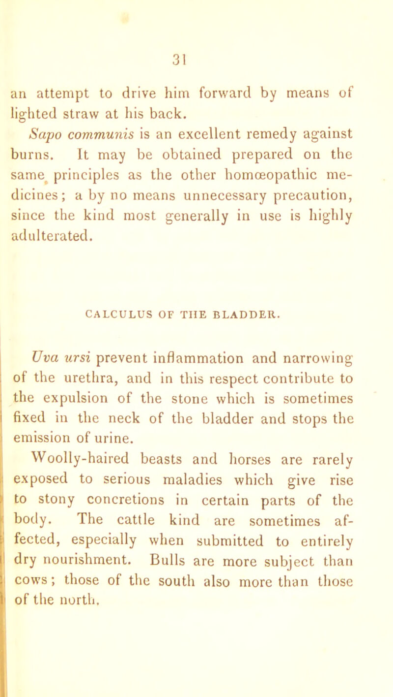 an attempt to drive him forward by means of lighted straw at his back. Sapo communis is an excellent remedy against burns. It may be obtained prepared on the same, principles as the other homoeopathic me- dicines; a by no means unnecessary precaution, since the kind most generally in use is highly adulterated. CALCULUS OF THE BLADDER. Uva ursi prevent inflammation and narrowing of the urethra, and in this respect contribute to the expulsion of the stone which is sometimes fixed in the neck of the bladder and stops the emission of urine. Woolly-haired beasts and horses are rarely exposed to serious maladies which give rise to stony concretions in certain parts of the body. The cattle kind are sometimes af- fected, especially when submitted to entirely dry nourishment. Bulls are more subject than cows; those of the south also more than those of the north.
