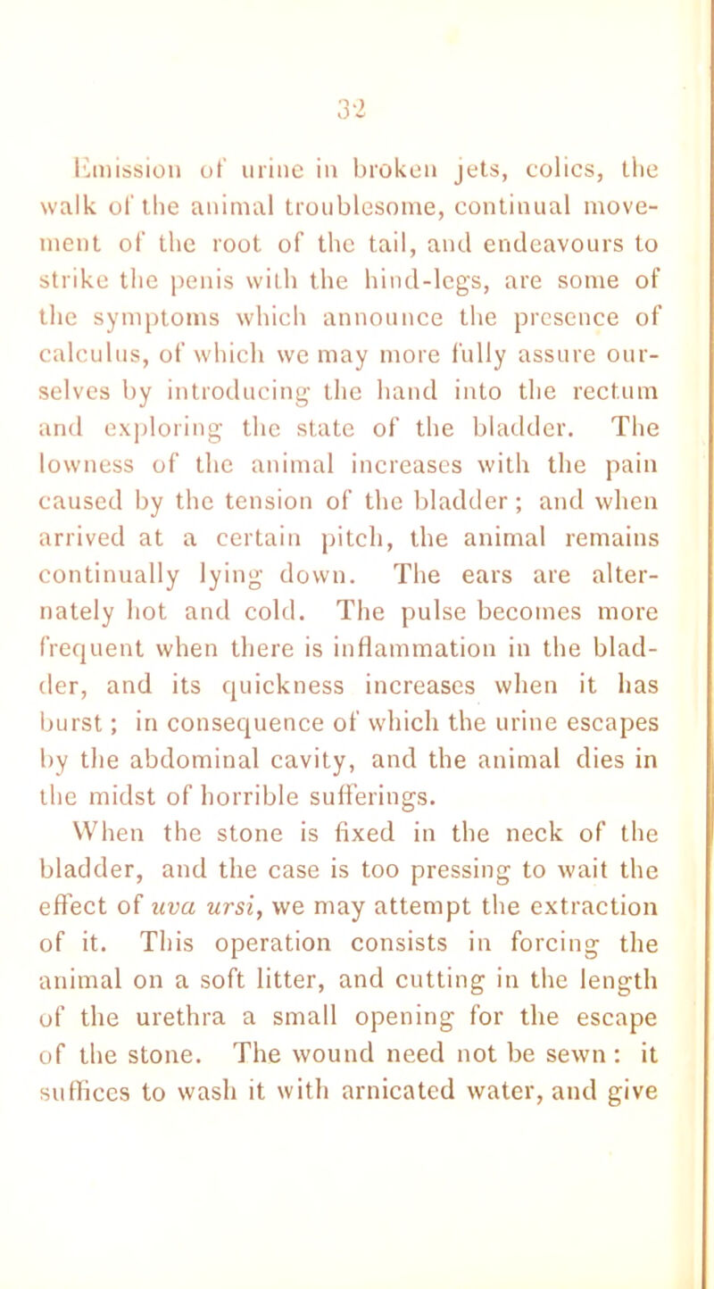 Emission of urine in broken jets, colics, tbe walk of the animal troublesome, continual move- ment of the root of the tail, and endeavours to strike the penis with the hind-legs, are some of the symptoms which announce the presence of calculus, of which we may more fully assure our- selves by introducing the hand into the rectum and exploring the state of the bladder. The lowness of the animal increases with the pain caused by the tension of the bladder; and when arrived at a certain pitch, the animal remains continually lying down. The ears are alter- nately hot and cold. The pulse becomes more frequent when there is inflammation in the blad- der, and its quickness increases when it has burst; in consequence of which the urine escapes by the abdominal cavity, and the animal dies in the midst of horrible sufferings. When the stone is fixed in the neck of the bladder, and the case is too pressing to wait the effect of uva ursi, we may attempt the extraction of it. This operation consists in forcing the animal on a soft litter, and cutting in the length of the urethra a small opening for the escape of the stone. The wound need not be sewn : it suffices to wash it with arnica ted water, and give