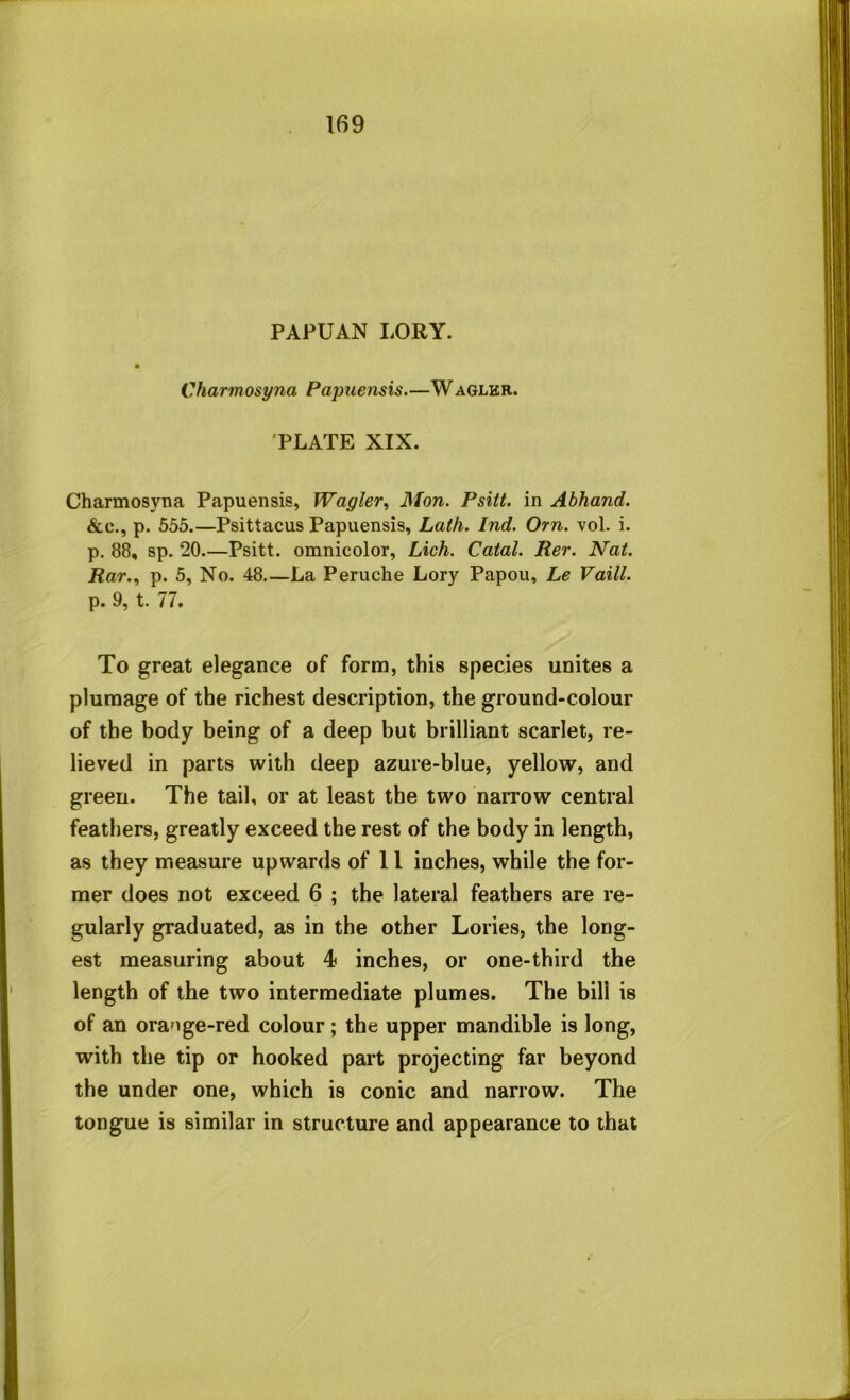 PAPUAN I.ORY. Charmosyna Papuensis.—Waglhr. PLATE XIX. Charmosyna Papuensis, fVagler, Mon. Psitt. in Abhand. &c., p. 555.—Psittacus Papuensis, Lath. Ind. Orn. vol. i. p. 88, sp. 20 Psitt. omnicolor, Lich. Catal. Rer. Nat. Rar.., p. 5, No. 48 La Peruche Lory Papou, Le Vaill. p. 9, t. 77. To great elegance of form, this species unites a plumage of the richest description, the ground-colour of the body being of a deep but brilliant scarlet, re- lieved in parts with deep azure-blue, yellow, and green. The tail, or at least the two narrow central feathers, greatly exceed the rest of the body in length, as they measure upwards of 11 inches, while the for- mer does not exceed 6 ; the lateral feathers are re- gularly graduated, as in the other Lories, the long- est measuring about 4 inches, or one-third the length of the two intermediate plumes. The bill is of an orange-red colour; the upper mandible is long, with the tip or hooked part projecting far beyond the under one, which is conic and narrow. The tongue is similar in structure and appearance to that