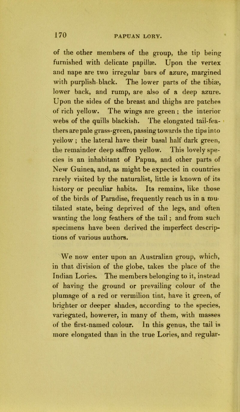 of the other members of the group, the tip being furnished with delicate papilla?. Upon the vertex and nape are two irregular bars of azure, margined with purplish-black. The lower parts of the tibiae, lower back, and rump, are also of a deep azure. Upon the sides of the breast and thighs are patches of rich yellow. The wings are green; the interior webs of the quills blackish. The elongated tail-fea- > thers are pale grass-green, passing towards the tips into yellow ; the lateral have their basal half dark green, the remainder deep saffron yellow. This lovely spe- cies is an inhabitant of Papua, and other parts of New Guinea, and, as might be expected in countries rarely visited by the naturalist, little is known of its history or peculiar habits. Its remains, like those of the birds of Paradise, frequently reach us in a mu« tilated state, being deprived of the legs, and often wanting the long feathers of the tail; and from such specimens have been derived the imperfect descrip- tions of various authors. We now enter upon an Australian group, which, in that division of the globe, takes the place of the Indian Lories. The members belonging to it, instead of having the ground or prevailing colour of the plumage of a red or vermilion tint, have it green, of brighter or deeper shades, according to the species, variegated, however, in many of them, with masses of the first-named colour. In this genus, the tail is more elongated than in the true Lories, and regular-