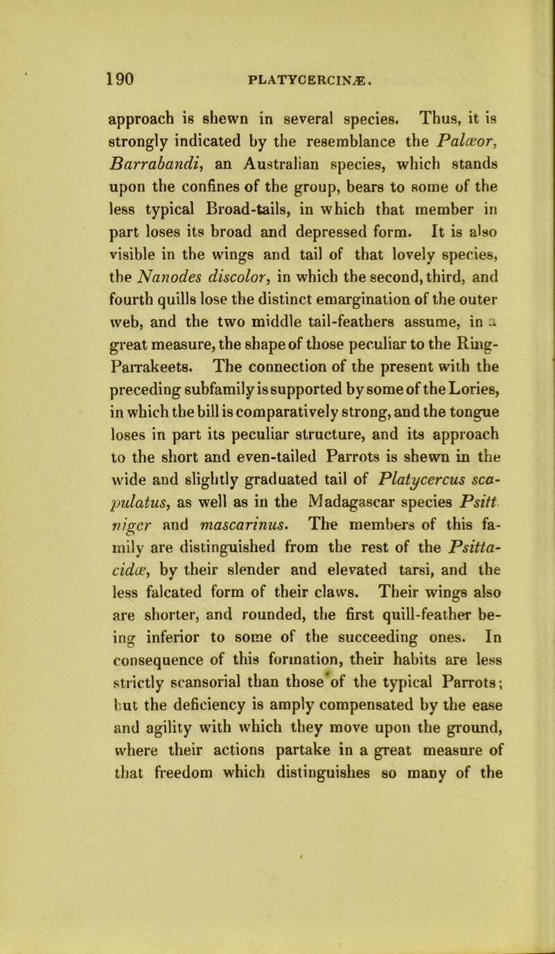 approach is shewn in several species. Thus, it is strongly indicated by the resemblance the Palceor, Barrabandi^ an Australian species, which stands upon the confines of the group, bears to some of the less typical Broad-tails, in which that member in part loses its broad and depressed form. It is also visible in the wings and tail of that lovely species, the Nanodes discolor, in which the second, third, and fourth quills lose the distinct emargination of the outer web, and the two middle tail-feathers assume, in a great measure, the shape of those peculiar to the Ring- PaiTakeets. The connection of the present with the preceding subfamily is supported by some of the Lories, in which the bill is comparatively strong, and the tongue loses in part its peculiar structure, and its approach to the short and even-tailed Parrots is shewn in the wide and slightly graduated tail of Platycercus sca~ pulatus, as well as in the Madagascar species Psiff vigcr and mascarinus. The members of this fa- mily are distinguished from the rest of the Psitta- cid(E, by their slender and elevated tarsi, and the less falcated form of their claws. Their wings also are shorter, and rounded, the first quill-feather be- ing inferior to some of the succeeding ones. In consequence of this formation, their habits are less strictly scansorial than those*of the typical Parrots; but the deficiency is amply compensated by the ease and agility with which they move upon the ground, where their actions partake in a great measure of that freedom which distinguishes so many of the