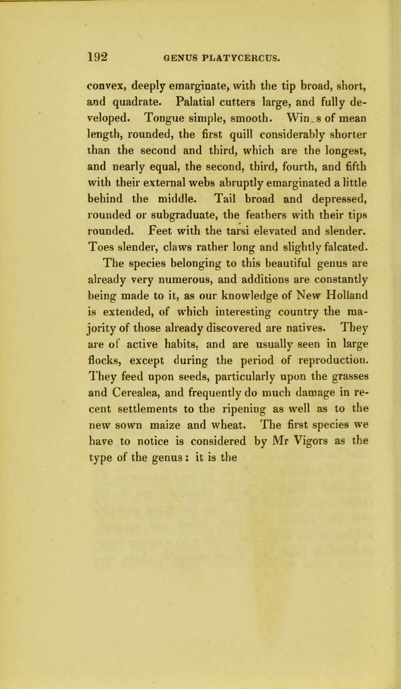 convex, deeply emarginate, with the tip broad, short, and quadrate. Palatial cutters large, and fully de- veloped. Tongue simple, smooth. Win. s of mean length, rounded, the first quill considerably shorter than the second and third, which are the longest, and nearly equal, the second, third, fourth, and fifth with their external webs abruptly emarginated a little behind the middle. Tail broad and depressed, rounded or subgraduate, the feathers with their tips rounded. Feet with the tarsi elevated and slender. Toes slender, claws rather long and slightly falcated. The species belonging to this beautiful genus are already very numerous, and additions are constantly being made to it, as our knowledge of New Holland is extended, of which interesting country the ma- jority of those already discovered are natives. They are of active habits, and are usually seen in large flocks, except during the period of reproduction. They feed upon seeds, particularly upon the grasses and Cerealea, and frequently do much damage in re- cent settlements to the ripening as well as to the new sown maize and wheat. The first species we have to notice is considered by Mr Vigors as the type of the genus: it is the