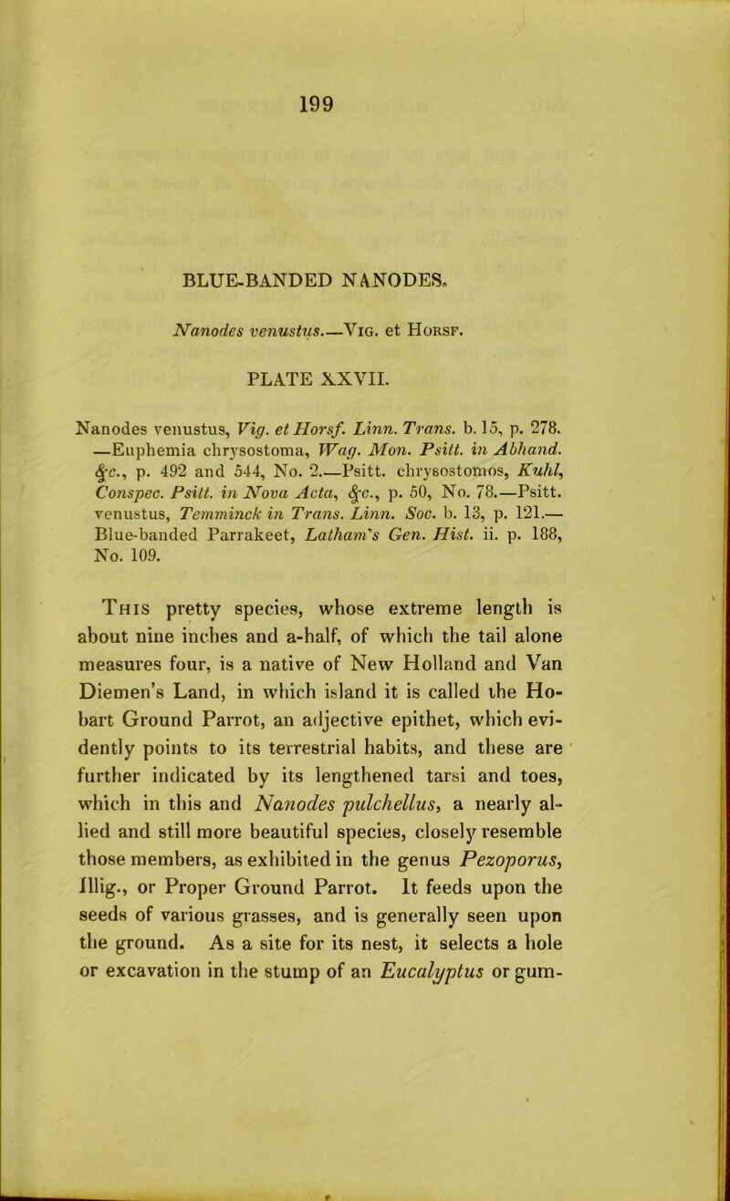BLUE-BANDED NANODES- Nanodes venustiis.—Vig. et Horsf. PLATE XXVII. Nanodes venustus, Vig. et Horsf. Linn. Trans, b. 15, p. 278. —Euphemia chr}^sostoma, Wag. Mon. Psitt. in Abhand. p. 492 and 544, No. 2 Psitt. chrysostonios, Kuhl^ Conspec. Psitt. in Nova Acta., ^c., p. 50, No. 78.—Psitt. venustus, Temminck in Trans. Linn. Soc. b. 13, p. 121.— Blue-banded Parrakeet, Latham's Gen. Hist. ii. p. 188, No. 109. This pretty species, whose extreme length is about nine inches and a-half, of which the tail alone measures four, is a native of New Holland and Van Diemen’s Land, in which Island it is called the Ho- bart Ground Parrot, an adjective epithet, which evi- dently points to its terrestrial habits, and these are further indicated by its lengthened tarsi and toes, which in this and Nanodes pidchellus, a nearly al- lied and still more beautiful species, closely resemble those members, as exhibited in the genus Pezoporus, lllig., or Proper Ground Parrot. It feeds upon the seeds of various grasses, and is generally seen upon the ground. As a site for its nest, it selects a hole or excavation in the stump of an Eucalyptus or gum-