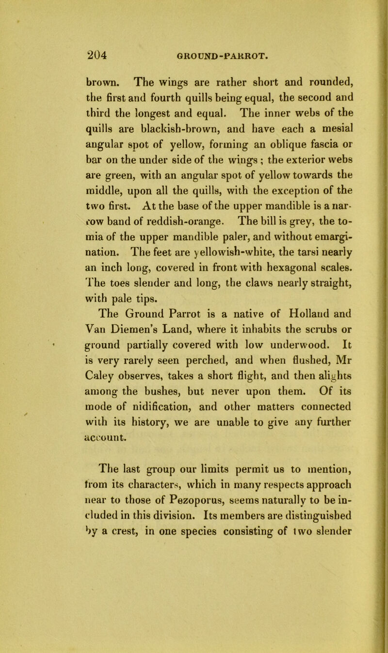 brown. The wings are rather short and rounded, the first and fourth quills being equal, the second and third the longest and equal. The inner webs of the quills are blackish-brown, and have each a mesial angular spot of yellow, forming an oblique fascia or bar on the under side of the wings ; the exterior webs are green, with an angular spot of yellow towards the middle, upon all the quills, with the exception of the two first. At the base of the upper mandible is a nar- row band of reddish-orange. The bill is grey, the to- mia of the upper mandible paler, and without emargi- nation. The feet are yellowish-white, the tarsi nearly an inch long, covered in front with hexagonal scales. The toes slender and long, the claws nearly straight, with pale tips. The Ground Parrot is a native of Holland and Van Diemen’s Land, where it inhabits the scrubs or ground partially covered with low underwood. It is very rarely seen perched, and when flushed, Mr Caley observes, takes a short flight, and then alights among the bushes, but never upon them. Of its mode of nidification, and other matters connected with its history, we are unable to give any fui*ther account. The last group our limits permit us to mention, from its characters, which in many respects approach near to those of Pezoporus, seems naturally to be in- cluded in this division. Its members are distinguished by a crest, in one species consisting of two slender