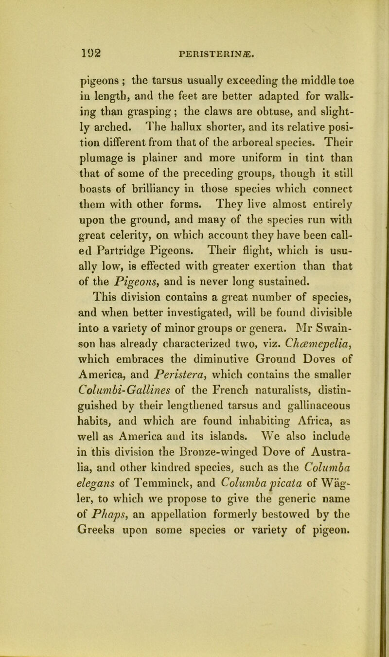 pigeons ; the tarsus usually exceeding the middle toe in length, and the feet are better adapted for walk- ing than grasping; the claws are obtuse, and slight- ly arched. The hallux shorter, and its relative posi- tion different from that of the arboreal species. Their plumage is plainer and more uniform in tint than that of some of the preceding groups, though it still boasts of brilliancy in those species which connect them with other forms. They live almost entirely upon the ground, and many of the species run with great celerity, on which account they have been call- ed Partridge Pigeons. Their flight, which is usu- ally low, is effected with greater exertion than that of the PigeonSy and is never long sustained. This division contains a great number of species, and when better investigated, will be found divisible into a variety of minor groups or genera. Mr Swain- son has already characterized two, viz. Clicemcpeliay which embraces the diminutive Ground Doves of America, and Peristeray which contains the smaller Columbi-Gallines of the French naturalists, distin- guished by their lengthened tarsus and gallinaceous habits, and which are found inhabiting Africa, as well as America and its islands. We also include in this division the Bronze-winged Dove of Austra- lia, and other kindred species, such as the Columba elegans of Temminck, and Columba joicata of Wag- ler, to which we propose to give tlie generic name of Phapsy an appellation formerly bestowed by the Greeks upon some species or variety of pigeon.