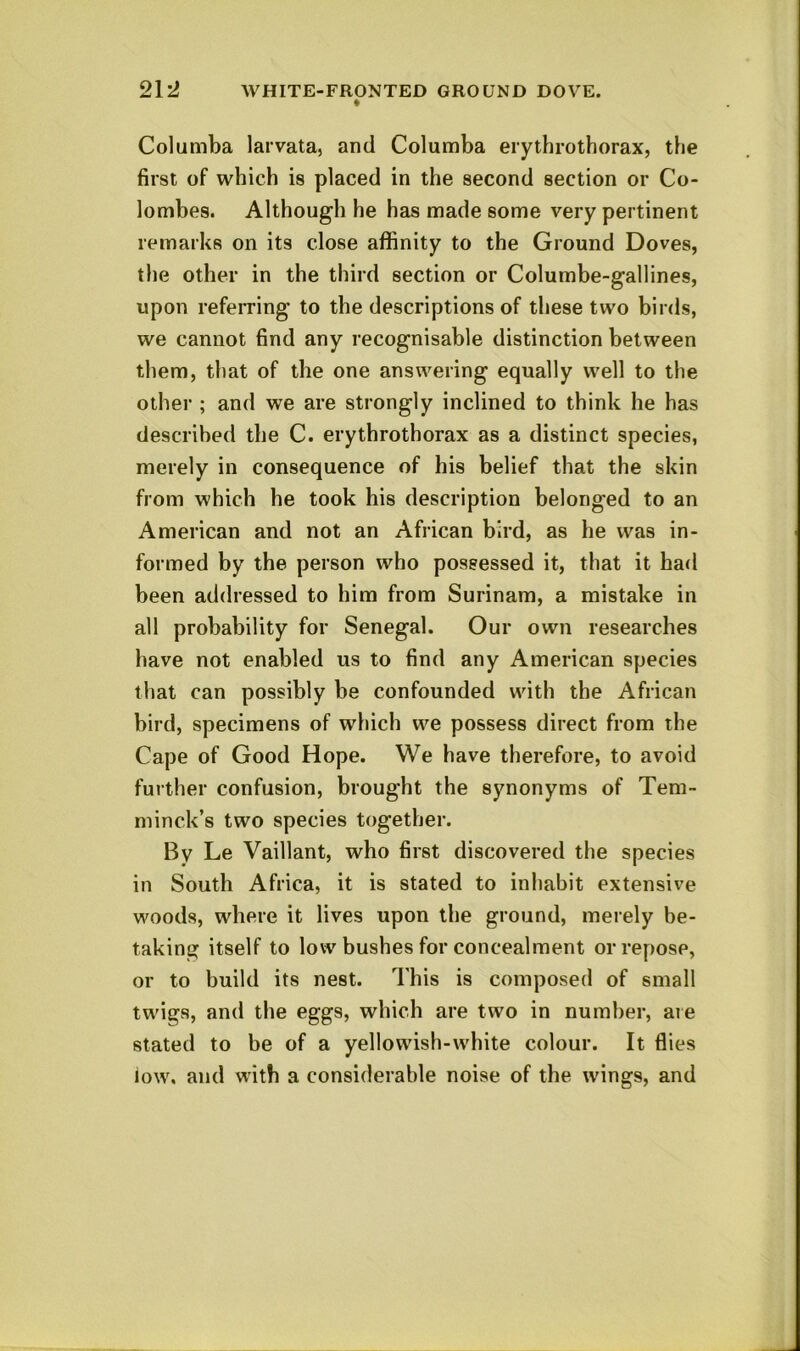 Columba laivata, and Columba erythrothorax, the first of which is placed in the second section or Co- lombes. Although he has made some very pertinent remarks on its close affinity to the Ground Doves, the other in the third section or Columbe-gallines, upon refeiTing to the descriptions of these two birds, we cannot find any recognisable distinction between them, that of the one answering equally well to the other ; and we are strongly inclined to think he has descrihed the C. erythrothorax as a distinct species, merely in consequence of his belief that the skin from which he took his description belonged to an American and not an African bird, as he was in- formed by the person who possessed it, that it had been addressed to him from Surinam, a mistake in all probability for Senegal. Our own researches have not enabled us to find any American species that can possibly be confounded with the African bird, specimens of which we possess direct from the Cape of Good Hope. We have therefore, to avoid further confusion, brought the synonyms of Tern- minck’s two species together. By Le Vaillant, who first discovered the species in South Africa, it is stated to inhabit extensive woods, where it lives upon the ground, merely be- taking itself to low bushes for concealment or repose, or to build its nest. This is composed of small twigs, and the eggs, which are two in number, are stated to be of a yellowish-white colour. It flies low. and with a considerable noise of the wdngs, and