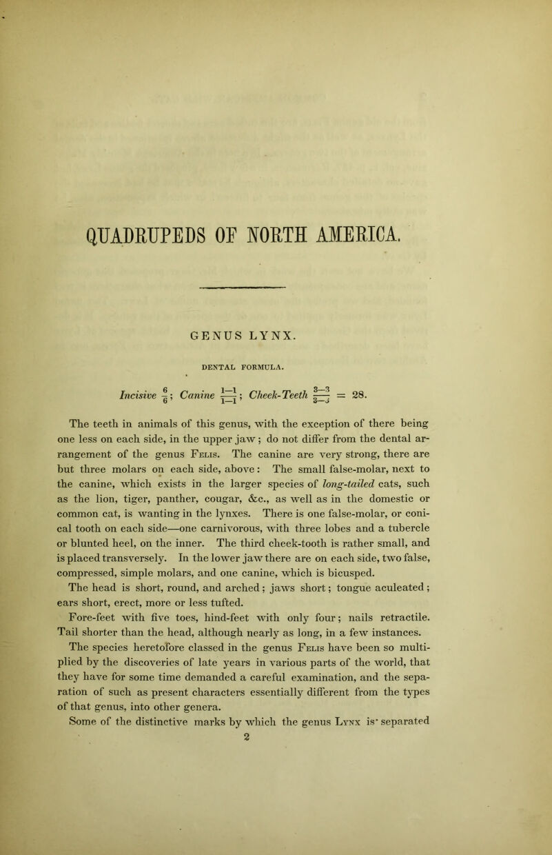 QUADRUPEDS OE NORTH AMERICA. GENUS LYNX. DENTAL FORMULA. Incisive Canine ; Cheek-Teeth ^—7 = 28. The teeth in animals of this genus, with the exception of there being one less on each side, in the upper jaw; do not differ from the dental ar- rangement of the genus Felis. The canine are very strong, there are but three molars on each side, above: The small false-molar, next to the canine, which exists in the larger species of long-tailed cats, such as the lion, tiger, panther, cougar, &c., as well as in the domestic or common cat, is wanting in the lynxes. There is one false-molar, or coni- cal tooth on each side—one carnivorous, with three lobes and a tubercle or blunted heel, on the inner. The third cheek-tooth is rather small, and is placed transversely. In the lower jaw there are on each side, two false, compressed, simple molars, and one canine, which is bicusped. The head is short, round, and arched ; jaws short; tongue aculeated ; ears short, erect, more or less tufted. Fore-feet with five toes, hind-feet with only four; nails retractile. Tail shorter than the head, although nearly as long, in a few instances. The species heretofore classed in the genus Felis have been so multi- plied by the discoveries of late years in various parts of the world, that they have for some time demanded a careful examination, and the sepa- ration of such as present characters essentially different from the types of that genus, into other genera. Some of the distinctive marks by which the genus Lynx is - separated