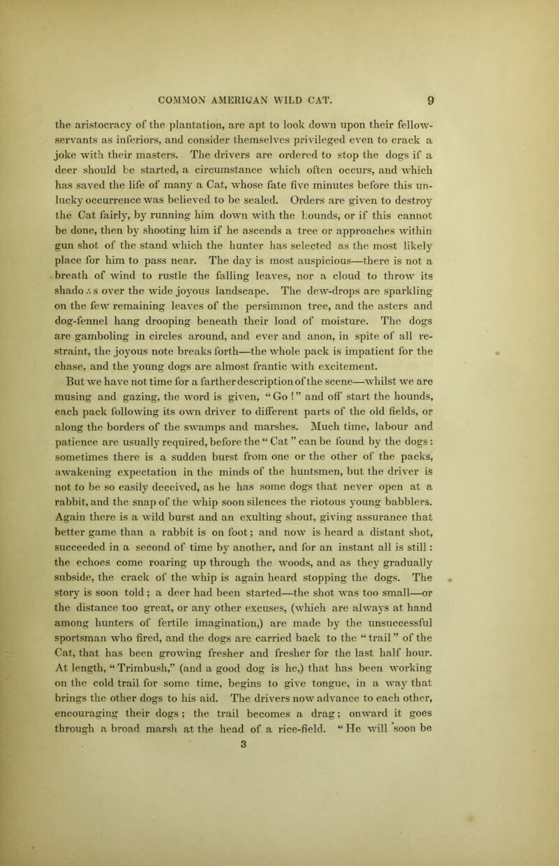 the aristocracy of the plantation, are apt to look down upon their fellow- servants as inferiors, and consider themselves privileged even to crack a joke with their masters. The drivers are ordered to stop the dogs if a deer should be started, a circumstance which often occurs, and which has saved the life of many a Cat, whose fate five minutes before this un- lucky occurrence was believed to be sealed. Orders are given to destroy the Cat fairly, by running him down with the hounds, or if this cannot be done, then by shooting him if he ascends a tree or approaches within gun shot of the stand which the hunter has selected as the most likely place for him to pass near. The day is most auspicious—there is not a breath of wind to rustle the falling leaves, nor a cloud to throw its shado /. s over the wide joyous landscape. The dew-drops are sparkling on the few remaining leaves of the persimmon tree, and the asters and dog-fennel hang drooping beneath their load of moisture. The dogs are gamboling in circles around, and ever and anon, in spite of all re- straint, the joyous note breaks forth—the whole pack is impatient for the chase, and the young dogs are almost frantic with excitement. But we have not time for a farther description of the scene—whilst we are musing and gazing, the word is given, “ Go ! ” and off start the hounds, each pack following its own driver to different parts of the old fields, or along the borders of the swamps and marshes. Much time, labour and patience are usually required, before the “ Cat ” can be found by the dogs : sometimes there is a sudden burst from one or the other of the packs, awakening expectation in the minds of the huntsmen, but the driver is not to be so easily deceived, as he has some dogs that never open at a rabbit, and the snap of the whip soon silences the riotous young babblers. Again there is a wild burst and an exulting shout, giving assurance that better game than a rabbit is on foot; and now is heard a distant shot, succeeded in a second of time by another, and for an instant all is still: the echoes come roaring up through the woods, and as they gradually subside, the crack of the whip is again heard stopping the dogs. The story is soon told ; a deer had been started—the shot was too small—or the distance too great, or any other excuses, (which are always at hand among hunters of fertile imagination,) are made by the unsuccessful sportsman who fired, and the dogs are carried back to the “ trail ” of the Cat, that has been growing fresher and fresher for the last half hour. At length, “ Trimbush,” (and a good dog is he,) that has been working on the cold trail for some time, begins to give tongue, in a way that brings the other dogs to his aid. The drivers now advance to each other, encouraging their dogs; the trail becomes a drag; onward it goes through a broad marsh at the head of a rice-field. “ He will soon be 3