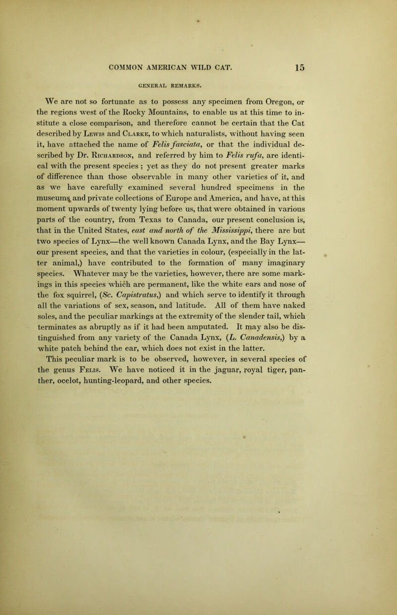 GENERAL REMARKS. We are not so fortunate as to possess any specimen from Oregon, or the regions west of the Rocky Mountains, to enable us at this time to in- stitute a close comparison, and therefore cannot be certain that the Cat described by Lewis and Clarke, to which naturalists, without having seen it, have attached the name of Felis fasciata, or that the individual de- scribed by Dr. Richardson, and referred by him to Felis rufa, are identi- cal with the present species ; yet as they do not present greater marks of difference than those observable in many other varieties of it, and as we have carefully examined several hundred specimens in the museum^ and private collections of Europe and America, and have, at this moment upwards of twenty lying before us, that were obtained in various parts of the country, from Texas to Canada, our present conclusion is, that in the United States, east and north of the Mississippi, there are but two species of Lynx—the well known Canada Lynx, and the Bay Lynx— our present species, and that the varieties in colour, (especially in the lat- ter animal,) have contributed to the formation of many imaginary species. Whatever may be the varieties, however, there are some mark- ings in this species which are permanent, like the white ears and nose of the fox squirrel, (Sc. Capistratus,) and which serve to identify it through all the variations of sex, season, and latitude. All of them have naked soles, and the peculiar markings at the extremity of the slender tail, which terminates as abruptly as if it had been amputated. It may also be dis- tinguished from any variety of the Canada Lynx, (L. Canadensis,) by a white patch behind the ear, which does not exist in the latter. This peculiar mark is to be observed, however, in several species of the genus Felis. We have noticed it in the jaguar, royal tiger, pan- ther, ocelot, hunting-leopard, and other species.