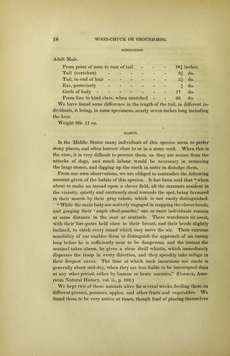 DIMENSIONS. Adult Male. From point of nose to root of tail - - - 18£ inches. Tail (vertebrae) 3} do. Tail, to end of hair - - - - - - 5} do. Ear, posteriorly | do. Girth of body 17 do. From fore to hind claw, when stretched 26 do. We have found some difference in the length of the tail, in different in- dividuals, it being, in some specimens, nearly seven inches long including the hair. Weight 91b. 11 oz. HABITS. In the Middle States many individuals of this species seem to prefer stony places, and often burrow close to or in a stone wall. When this is the case, it is very difficult to procure them, as they are secure from the attacks of dogs, and much labour would be necessary in removing the large stones, and digging up the earth in order to dislodge them. From our own observations, we are obliged to contradict the following account given of the habits of this species. It has been said that “ when about to make an inroad upon a clover field, all the marmots resident in the vicinity, quietly and cautiously steal towards the spot, being favoured in their march by their gray colour, which is not easily distinguished. “ While the main body are actively engaged in cropping the clover heads, and gorging their 4 ample cheek-pouchesone or more individuals remain at some distance in the rear as sentinels. These watchmen sit erect, with their fore-paws held close to their breast, and their heads slightly inclined, to catch every sound which may move the air. Their extreme sensibility of ear enables them to distinguish the approach of an enemy long before he is sufficiently near to be dangerous, and the instant the sentinel takes alarm, he gives a clear shrill whistle, which immediately disperses the troop in every direction, and they speedily take refuge in their deepest caves. The time at which such incursions are made is generally about mid-day, when they are less liable to be interrupted than at any other period, either by human or brute enemies,” (Godman, Ame- rican Natural History, vol. ii., p. 102.) We kept two of these animals alive for several weeks, feeding them on different grasses, potatoes, apples, and other fruits and vegetables. We found them to be very active at times, though fond of placing themselves