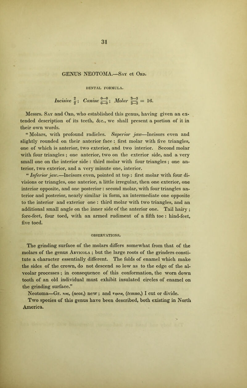 GENUS NEOTOMA.—Say et Ord. DENTAL FORMULA. Incisive |; Canine ; Molar =16. Messrs. Say and Ord, who established this genus, having given an ex- tended description of its teeth, &c., we shall present a portion of it in their own words. “ Molars, with profound radicles. Superior jaw—Incisors even and slightly rounded on their anterior face : first molar with five triangles, one of which is anterior, two exterior, and two interior. Second molar with four triangles ; one anterior, two on the exterior side, and a very small one on the interior side : third molar with four triangles ; one an- terior, two exterior, and a very minute one, interior. “ Inferior jaw.—Incisors even, pointed at top ; first molar with four di- visions or triangles, one anterior, a little irregular, then one exterior, one interior opposite, and one posterior : second molar, with four triangles an- terior and posterior, nearly similar in form, an intermediate one opposite to the interior and exterior one : third molar with two triangles, and an additional small angle on the inner side of the anterior one. Tail hairy ; fore-feet, four toed, with an armed rudiment of a fifth toe: hind-feet, five toed. OBSERVATIONS, The grinding surface of the molars differs somewhat from that of the molars of the genus Arvicola ; but the large roots of the grinders consti- tute a character essentially different. The folds of enamel which make the sides of the crown, do not descend so low as to the edge of the al- veolar processes ; in consequence of this conformation, the worn down tooth of an old individual must exhibit insulated circles of enamel on the grinding surface.” Neotoma—Gr. »£«$, (neos,) new; and tc/mu, (temno,) I cut or divide. Two species of this genus have been described, both existing in North America.