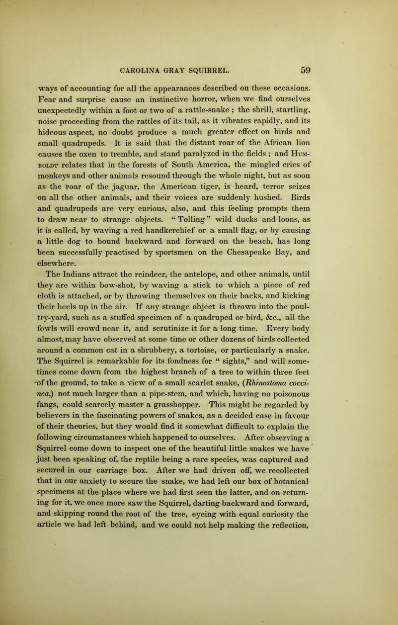 ways of accounting for all the appearances described on these occasions. Fear and surprise cause an instinctive horror, when we find ourselves unexpectedly within a foot or two of a rattle-snake ; the shrill, startling, noise proceeding from the rattles of its tail, as it vibrates rapidly, and its hideous aspect, no doubt produce a much greater effect on birds and small quadrupeds. It is said that the distant roar of the African lion causes the oxen to tremble, and stand paralyzed in the fields ; and Hum- boldt relates that in the forests of South America, the mingled cries of monkeys and other animals resound through the whole night, but as soon as the roar of the jaguar, the American tiger, is heard, terror seizes on all the other animals, and their voices are suddenly hushed. Birds and quadrupeds are very curious, also, and this feeling prompts them to draw near to strange objects. “ Tolling ” wild ducks and loons, as it is called, by waving a red handkerchief or a small flag, or by causing a little dog to bound backward and forward on the beach, has long been successfully practised by sportsmen on the Chesapeake Bay, and elsewhere. The Indians attract the reindeer, the antelope, and other animals, until they are within bow-shot, by waving a stick to which a piece of red cloth is attached, or by throwing themselves on their backs, and kicking their heels up in the air. If any strange object is thrown into the poul- try-yard, such as a stuffed specimen of a quadruped or bird, &c., all the fowls will crowd near it, and scrutinize it for a long time. Every body almost, may have observed at some time or other dozens of birds collected around a common cat in a shrubbery, a tortoise, or particularly a snake. The Squirrel is remarkable for its fondness for “ sights,” and will some- times come down from the highest branch of a tree to within three feet -of the ground, to take a view of a small scarlet snake, (Rhinostoma cocci- nea,) not much larger than a pipe-stem, and which, having no poisonous fangs, could scarcely master a grasshopper. This might be regarded by believers in the fascinating powers of snakes, as a decided case in favour of their theories, but they would find it somewhat difficult to explain the following circumstances which happened to ourselves. After observing a Squirrel come down to inspect one of the beautiful little snakes we have just been speaking of, the reptile being a rare species, was captured and secured in our carriage box. After we had driven off, we recollected that in our anxiety to secure the snake, we had left our box of botanical specimens at the place where we had first seen the latter, and on return- ing for it, we once more saw the Squirrel, darting backward and forward, and skipping round the root of the tree, eyeing with equal curiosity the article we had left behind, and we could not help making the reflection,