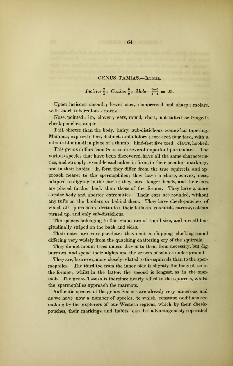 GENUS TAMIAS.—Illiger. Incisive |; Canine ; Molar ^ = 22. Upper incisors, smooth ; lower ones, compressed and sharp; molars, with short, tuberculous crowns. Nose, pointed; lip, cloven ; ears, round, short, not tufted or fringed ; cheek-pouches, ample. Tail, shorter than the body, hairy, sub-distichous, somewhat tapering. Mammae, exposed ; feet, distinct, ambulatory ; fore-feet, four toed, with a minute blunt nail in place of a thumb ; hind-feet five toed ; claws, hooked. This genus differs from Sciurus in several important particulars. The various species that have been discovered, have all the same characteris- tics, and strongly resemble each other in form, in their peculiar markings, and in their habits. In form they differ from the true squirrels, and ap- proach nearer to the spermophiles; they have a sharp, convex, nose, adapted to digging in the earth ; they have longer heads, and their ears are placed farther back than those of the former. They have a more slender body and shorter extremities. Their ears are rounded, without any tufts on the borders or behind them. They have cheek-pouches, of which all squirrels are destitute ; their tails are roundish, narrow, seldom turned up, and only sub-distichous. The species belonging to this genus are of small size, and are all lon- gitudinally striped on the back and sides. Their notes axe very peculiar ; they emit a chipping clucking sound differing very widely from the quacking chattering cry of the squirrels. They do not mount trees unless driven to them from necessity, but dig burrows, and spend their nights and the season of winter under ground. They are, however, more closely related to the squirrels than to the sper- mophiles. The third toe from the inner side is slightly the longest, as in the former; whilst in the latter, the second is longest, as in the mar- mots. The genus Tamias is therefore nearly allied to the squirrels, whilst the spermophiles approach the marmots. Authentic species of the genus Sciurus are already very numerous, and as we have now a number of species, to which constant additions are making by the explorers of our Western regions, which by their cheek- pouches, their markings, and habits, can be advantageously separated