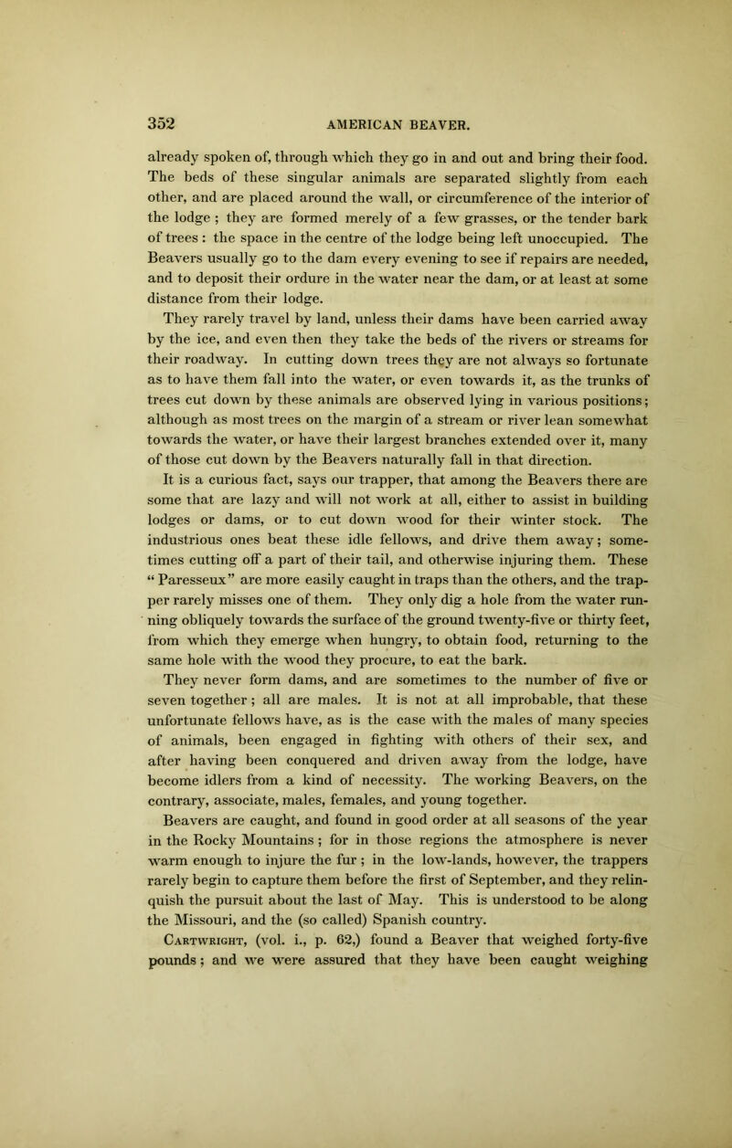 already spoken of, through which they go in and out and bring their food. The beds of these singular animals are separated slightly from each other, and are placed around the wall, or circumference of the interior of the lodge ; they are formed merely of a few grasses, or the tender bark of trees : the space in the centre of the lodge being left unoccupied. The Beavers usually go to the dam every evening to see if repairs are needed, and to deposit their ordure in the water near the dam, or at least at some distance from their lodge. They rarely travel by land, unless their dams have been carried away by the ice, and even then they take the beds of the rivers or streams for their roadway. In cutting down trees they are not always so fortunate as to have them fall into the water, or even towards it, as the trunks of trees cut down by these animals are observed lying in various positions; although as most trees on the margin of a stream or river lean somewhat towards the water, or have their largest branches extended over it, many of those cut down by the Beavers naturally fall in that direction. It is a curious fact, says our trapper, that among the Beavers there are some that are lazy and will not work at all, either to assist in building lodges or dams, or to cut down wood for their winter stock. The industrious ones beat these idle fellows, and drive them away; some- times cutting off a part of their tail, and otherwise injuring them. These “ Paresseux” are more easily caught in traps than the others, and the trap- per rarely misses one of them. They only dig a hole from the water run- ning obliquely towards the surface of the ground twenty-five or thirty feet, from which they emerge when hungry, to obtain food, returning to the same hole with the wood they procure, to eat the bark. They never form dams, and are sometimes to the number of five or seven together; all are males. It is not at all improbable, that these unfortunate fellows have, as is the case with the males of many species of animals, been engaged in fighting with others of their sex, and after having been conquered and driven away from the lodge, have become idlers from a kind of necessity. The working Beavers, on the contrary, associate, males, females, and young together. Beavers are caught, and found in good order at all seasons of the year in the Rocky Mountains ; for in those regions the atmosphere is never warm enough to injure the fur ; in the low-lands, however, the trappers rarely begin to capture them before the first of September, and they relin- quish the pursuit about the last of May. This is understood to be along the Missouri, and the (so called) Spanish country. Cartwright, (vol. i., p. 62,) found a Beaver that weighed forty-five pounds; and we were assured that they have been caught weighing
