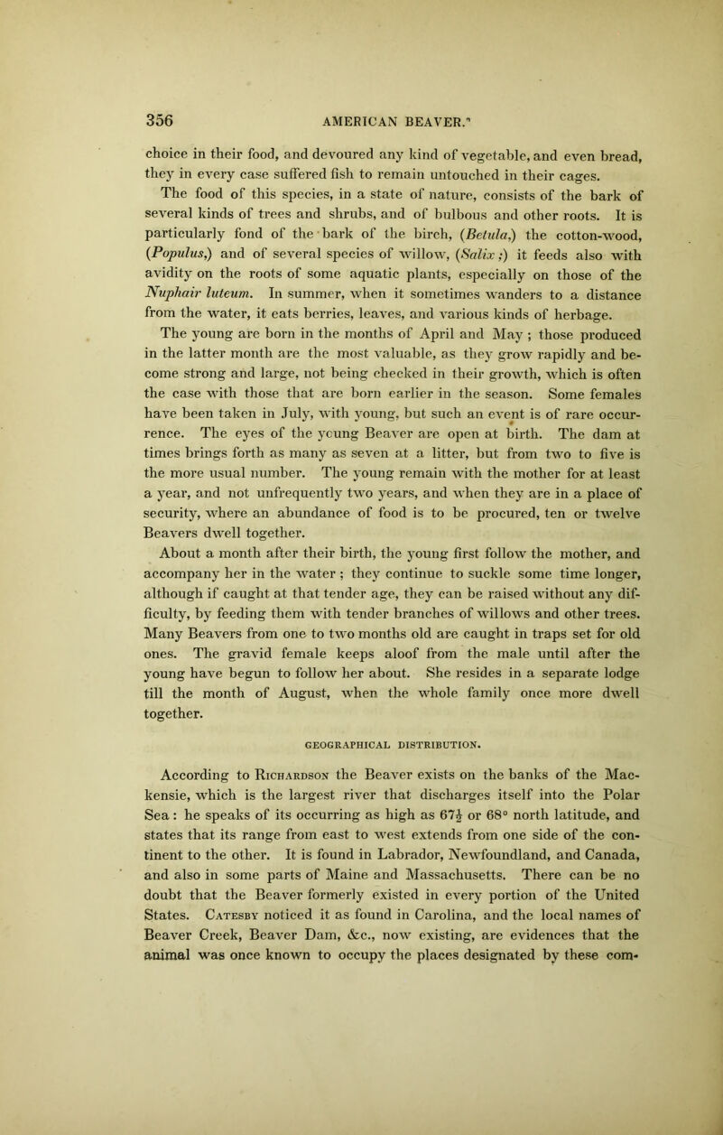 choice in their food, and devoured any kind of vegetable, and even bread, they in every case suffered fish to remain untouched in their cages. The food of this species, in a state of nature, consists of the bark of several kinds of trees and shrubs, and of bulbous and other roots. It is particularly fond of the bark of the birch, (Belula,) the cotton-wood, (Populus,) and of several species of willow, (Salix;) it feeds also with avidity on the roots of some aquatic plants, especially on those of the Nuphair luteum. In summer, when it sometimes wanders to a distance from the water, it eats berries, leaves, and various kinds of herbage. The young are born in the months of April and May ; those produced in the latter month are the most valuable, as they grow rapidly and be- come strong and large, not being checked in their growth, which is often the case with those that are born earlier in the season. Some females have been taken in July, with young, but such an event is of rare occur- rence. The eyes of the young Beaver are open at birth. The dam at times brings forth as many as seven at a litter, but from two to five is the more usual number. The young remain with the mother for at least a year, and not unfrequently two years, and when they are in a place of security, where an abundance of food is to be procured, ten or twelve Beavers dwell together. About a month after their birth, the young first follow the mother, and accompany her in the water ; they continue to suckle some time longer, although if caught at that tender age, they can be raised without any dif- ficulty, by feeding them with tender branches of willows and other trees. Many Beavers from one to two months old are caught in traps set for old ones. The gravid female keeps aloof from the male until after the young have begun to follow her about. She resides in a separate lodge till the month of August, when the whole family once more dwell together. GEOGRAPHICAL DISTRIBUTION. According to Richardson the Beaver exists on the banks of the Mac- kensie, which is the largest river that discharges itself into the Polar Sea: he speaks of its occurring as high as 67£ or 68° north latitude, and states that its range from east to west extends from one side of the con- tinent to the other. It is found in Labrador, Newfoundland, and Canada, and also in some parts of Maine and Massachusetts. There can be no doubt that the Beaver formerly existed in every portion of the United States. Catesby noticed it as found in Carolina, and the local names of Beaver Creek, Beaver Dam, &c., now existing, are evidences that the animal was once known to occupy the places designated by these com-