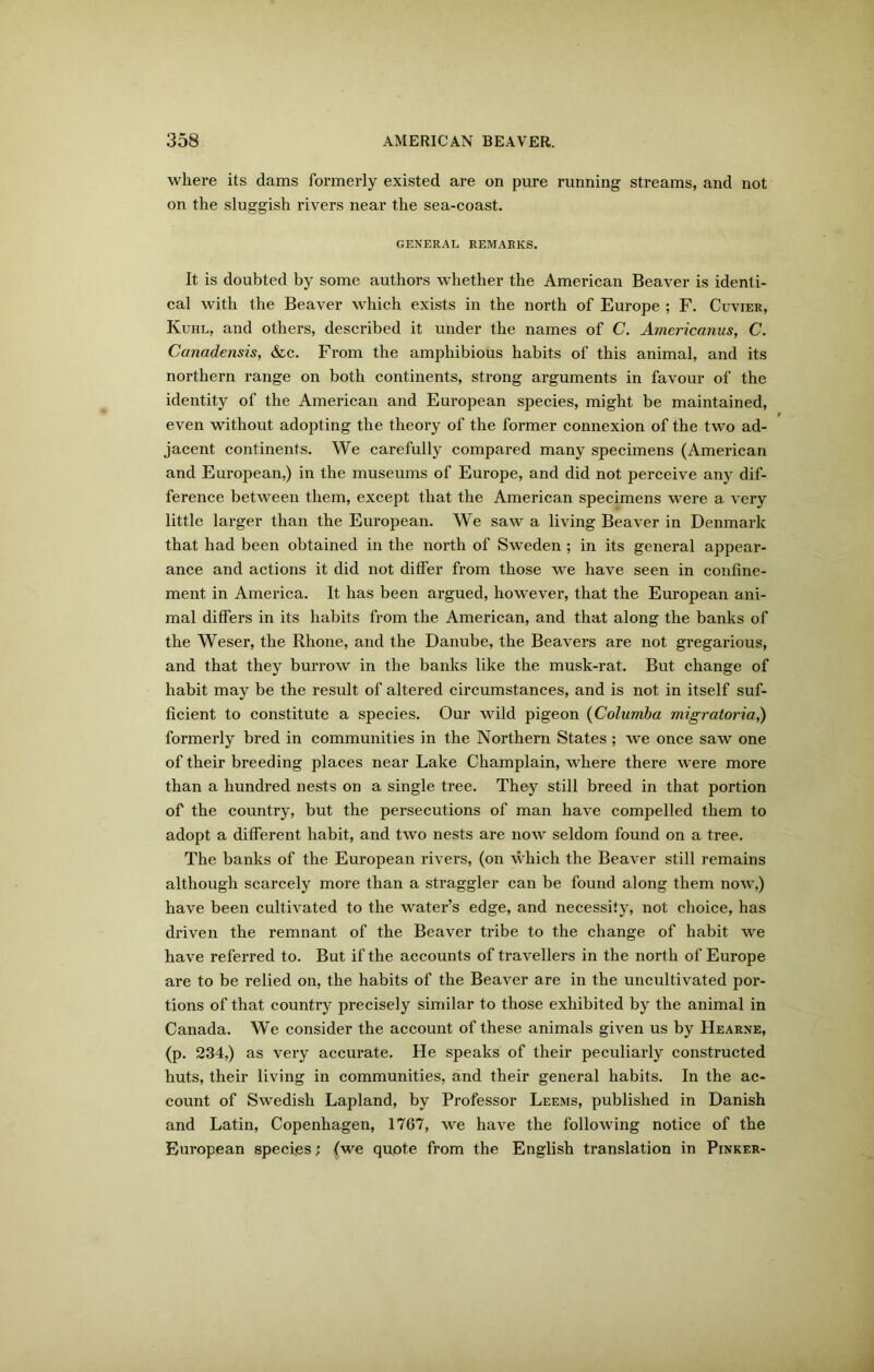 where its dams formerly existed are on pure running streams, and not on the sluggish rivers near the sea-coast. GENERAL REMARKS. It is doubted by some authors whether the American Beaver is identi- cal with the Beaver which exists in the north of Europe ; F. Cuvier, Kuhl, and others, described it under the names of C. Americanus, C. Canadensis, &c. From the amphibious habits of this animal, and its northern range on both continents, strong arguments in favour of the identity of the American and European species, might be maintained, even without adopting the theory of the former connexion of the two ad- jacent continents. We carefully compared many specimens (American and European,) in the museums of Europe, and did not perceive any dif- ference between them, except that the American specimens were a very little larger than the European. We saw a living Beaver in Denmark that had been obtained in the north of Sweden ; in its general appear- ance and actions it did not differ from those we have seen in confine- ment in America. It has been argued, however, that the European ani- mal differs in its habits from the American, and that along the banks of the Weser, the Rhone, and the Danube, the Beavers are not gregarious, and that they burrow in the banks like the musk-rat. But change of habit may be the result of altered circumstances, and is not in itself suf- ficient to constitute a species. Our wild pigeon (Columba migratoria,) formerly bred in communities in the Northern States ; we once saw one of their breeding places near Lake Champlain, where there were more than a hundred nests on a single tree. They still breed in that portion of the country, but the persecutions of man have compelled them to adopt a different habit, and two nests are now seldom found on a tree. The banks of the European rivers, (on which the Beaver still remains although scarcely more than a straggler can be found along them now,) have been cultivated to the water’s edge, and necessity, not choice, has driven the remnant of the Beaver tribe to the change of habit we have referred to. But if the accounts of travellers in the north of Europe are to be relied on, the habits of the Beaver are in the uncultivated por- tions of that country precisely similar to those exhibited by the animal in Canada. We consider the account of these animals given us by Hearne, (p. 234,) as very accurate. He speaks of their peculiarly constructed huts, their living in communities, and their general habits. In the ac- count of Swedish Lapland, by Professor Leems, published in Danish and Latin, Copenhagen, 1767, we have the following notice of the European species; (we quote from the English translation in Pinker-