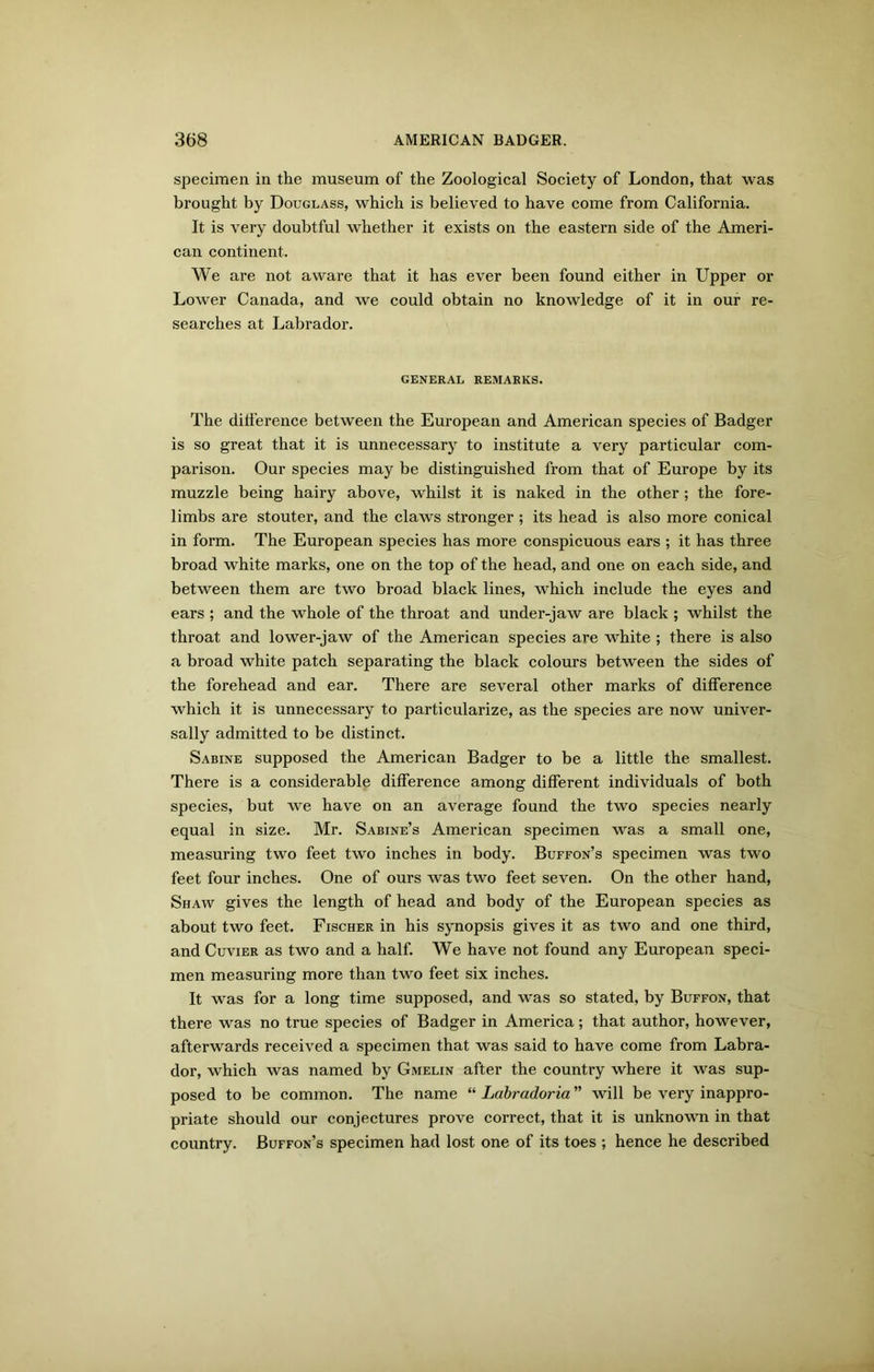 specimen in the museum of the Zoological Society of London, that was brought by Douglass, which is believed to have come from California. It is very doubtful whether it exists on the eastern side of the Ameri- can continent. We are not aware that it has ever been found either in Upper or Lower Canada, and we could obtain no knowledge of it in our re- searches at Labrador. GENERAL REMARKS. The difference between the European and American species of Badger is so great that it is unnecessary to institute a very particular com- parison. Our species may be distinguished from that of Europe by its muzzle being hairy above, whilst it is naked in the other ; the fore- limbs are stouter, and the claws stronger ; its head is also more conical in form. The European species has more conspicuous ears ; it has three broad white marks, one on the top of the head, and one on each side, and between them are two broad black lines, which include the eyes and ears ; and the whole of the throat and under-jaw are black ; whilst the throat and lower-jaw of the American species are white ; there is also a broad white patch separating the black colours between the sides of the forehead and ear. There are several other marks of difference which it is unnecessary to particularize, as the species are now univer- sally admitted to be distinct. Sabine supposed the American Badger to be a little the smallest. There is a considerable difference among different individuals of both species, but we have on an average found the two species nearly equal in size. Mr. Sabine’s American specimen was a small one, measuring two feet two inches in body. Buffon’s specimen was two feet four inches. One of ours was two feet seven. On the other hand, Shaw gives the length of head and body of the European species as about two feet. Fischer in his synopsis gives it as two and one third, and Cuvier as two and a half. We have not found any European speci- men measuring more than two feet six inches. It was for a long time supposed, and was so stated, by Buffon, that there was no true species of Badger in America; that author, however, afterwards received a specimen that was said to have come from Labra- dor, which was named by Gmelin after the country where it was sup- posed to be common. The name “ Labradoria ” will be very inappro- priate should our conjectures prove correct, that it is unknown in that country. Buffon’s specimen had lost one of its toes ; hence he described