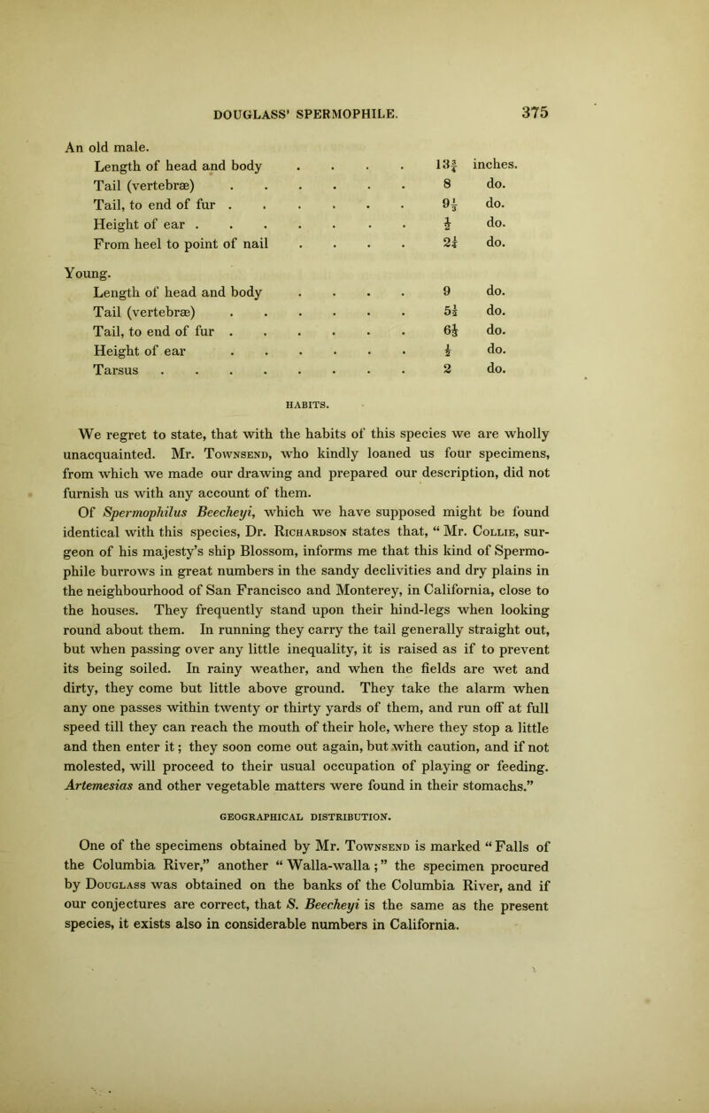 An old male. Length of head and body . . . 13f inches. Tail (vertebrae) 8 do. Tail, to end of fur . . . . 91 do. Height of ear .... . • i do. From heel to point of nail 2k do. Young. Length of head and body 9 do. Tail (vertebrae) do. Tail, to end of fur . do. Height of ear i do. Tarsus ..... 2 do. HABITS. We regret to state, that with the habits of this species we are wholly unacquainted. Mr. Townsend, who kindly loaned us four specimens, from which we made our drawing and prepared our description, did not furnish us with any account of them. Of Spermophilus Beecheyi, which we have supposed might be found identical with this species, Dr. Richardson states that, “ Mr. Collie, sur- geon of his majesty’s ship Blossom, informs me that this kind of Spermo- phile burrows in great numbers in the sandy declivities and dry plains in the neighbourhood of San Francisco and Monterey, in California, close to the houses. They frequently stand upon their hind-legs when looking round about them. In running they carry the tail generally straight out, but when passing over any little inequality, it is raised as if to prevent its being soiled. In rainy weather, and when the fields are wet and dirty, they come but little above ground. They take the alarm when any one passes within twenty or thirty yards of them, and run off at full speed till they can reach the mouth of their hole, where they stop a little and then enter it; they soon come out again, but with caution, and if not molested, will proceed to their usual occupation of playing or feeding. Artemesias and other vegetable matters were found in their stomachs.” GEOGRAPHICAL DISTRIBUTION. One of the specimens obtained by Mr. Townsend is marked “ Falls of the Columbia River,” another “ Walla-walla ; ” the specimen procured by Douglass was obtained on the banks of the Columbia River, and if our conjectures are correct, that S. Beecheyi is the same as the present species, it exists also in considerable numbers in California.