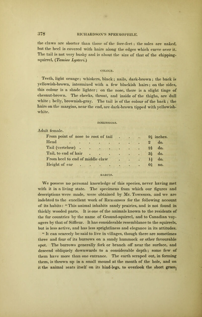 the claws are shorter than those of the fore-feet ; the soles are naked, hut the heel is covered Avith hairs along the edges which curve over it. The tail is not very bushy and is about the size of that of the chipping- squirrel, (Tamias Lysteri.) COLOUR. Teeth, light orange; whiskers, black ; nails, dark-broAvn ; the back is yellowish-brown, intermixed with a few blackish hairs; on the sides, this colour is a shade lighter; on the nose, there is a slight tinge of chesnut-broAvn. The cheeks, throat, and inside of the thighs, are dull Avhite ; belly, brownish-gray. The tail is of the colour of the back ; the hairs on the margins, near the end, are dark-broAvn tipped with yellowish- Avhite. DIMENSIONS. Adult female. From point of nose to root of tail inches. Head ...... 2 do. Tail (A ertebrse) . 2 h do. Tail, to end of hair . . . . S\ do. From heel to end of middle claAV do. Height of ear . . . . . Oi no. HABITS. We possess no personal knowledge of this species, never having met Avith it in a living state. The specimens from which our figures and descriptions AArere made, were obtained by Mr. Townsend, and we are indebted to the excellent work of Richardson for the following account of its habits: “ This animal inhabits sandy prairies, and is not found in thickly wooded parts. It is one of the animals known to the residents of the fur countries by the name of Ground-squirrel, and to Canadian voy- agers by that of Sifileur. It has considerable resemblance to the squirrels, but is less active, and has less sprightliness and elegance in its attitudes. “ It can scarcely be said to live in villages, though there are sometimes three and four of its burroAA-s on a sandy hummock or other favourable spot. The burrovrs generally fork or branch off near the surface, and descend obliquely doAvnAvards to a considerable depth; some few of them have more than one entrance. The earth scraped out, in forming them, is thnnvn up in a small mound at the mouth of the hole, and on it the animal seats itself on its hind-legs, to overlook the short grass,