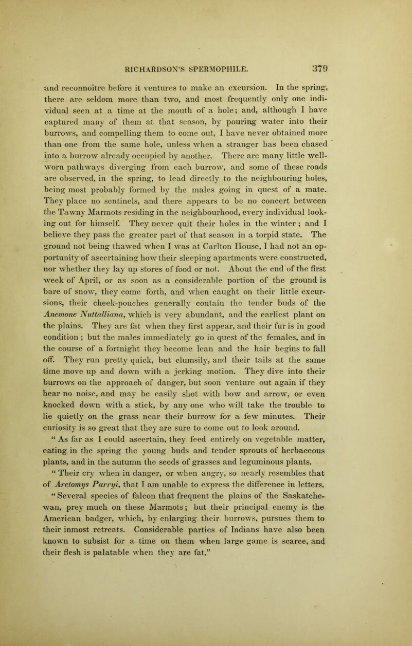 and reconnoitre before it ventures to make an excursion. In the spring, there are seldom more than two, and most frequently only one indi- vidual seen at a time at the mouth of a hole; and, although I have captured many of them at that season, by pouring water into their burrows, and compelling them to come out, I have never obtained more than one from the same hole, unless when a stranger has been chased into a burrow already occupied by another. There are many little well- worn pathways diverging from each burrow, and some of these roads are observed, in the spring, to lead directly to the neighbouring holes, being most probably formed by the males going in quest of a mate. They place no sentinels, and there appears to be no concert between the Tawny Marmots residing in the neighbourhood, every individual look- ing out for himself. They never quit their holes in the winter ; and I believe they pass the greater part of that season in a torpid state. The ground not being thawed when I was at Carlton House, I had not an op- portunity of ascertaining how their sleeping apartments were constructed, nor whether they lay up stores of food or not. About the end of the first week of April, or as soon as a considerable portion of the ground is bare of snow, they come forth, and when caught on their little excur- sions, their cheek-pouches generally contain the tender buds of the Anemone Nuttalliana, which is very abundant, and the earliest plant on the plains. They are fat when they first appear, and their fur is in good condition ; but the males immediately go in quest of the females, and in the course of a fortnight they become lean and the hair begins to fall off. They run pretty quick, but clumsily, and their tails at the same time move up and down with a jerking motion. They dive into their burrows on the approach of danger, but soon venture out again if they hear no noise, and may be easily shot with bow and arrow, or even knocked down with a stick, by any one who will take the trouble to lie quietly on the grass near their burrow for a few minutes. Their curiosity is so great that they are sure to come out to look around, “ As far as I could ascertain, they feed entirely on vegetable matter, eating in the spring the young buds and tender sprouts of herbaceous plants, and in the autumn the seeds of grasses and leguminous plants. “ Their cry when in danger, or when angry, so nearly resembles that of Arctomys Parryi, that I am unable to express the difference in letters, “ Several species of falcon that frequent the plains of the Saskatche^ wan, prey much on these Marmots; but their principal enemy is the American badger, which, by enlarging their burrows, pursues them to their inmost retreats. Considerable parties of Indians have also been known to subsist for a time on them when large game is scarce, and their flesh is palatable when they are fat,”