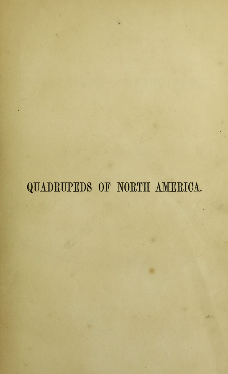 QUADRUPEDS OF NORTH AMERICA.