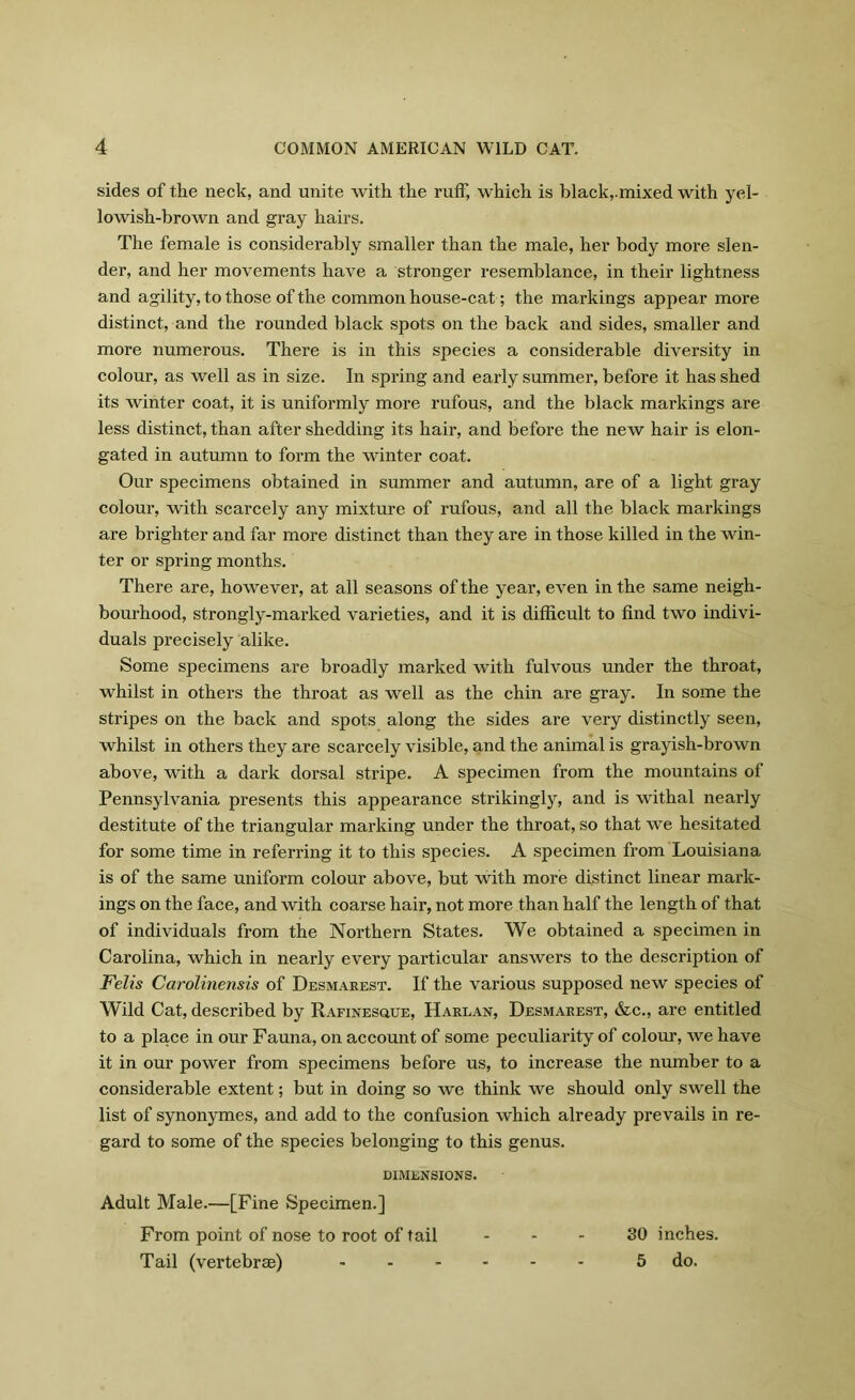 sides of the neck, and unite with the ruff, which is black, mixed with yel- lowish-brown and gray hairs. The female is considerably smaller than the male, her body more slen- der, and her movements have a stronger resemblance, in their lightness and agility, to those of the common house-cat; the markings appear more distinct, and the rounded black spots on the back and sides, smaller and more numerous. There is in this species a considerable diversity in colour, as well as in size. In spring and early summer, before it has shed its winter coat, it is uniformly more rufous, and the black markings are less distinct, than after shedding its hair, and before the new hair is elon- gated in autumn to form the winter coat. Our specimens obtained in summer and autumn, are of a light gray colour, with scarcely any mixture of rufous, and all the black markings are brighter and far more distinct than they are in those killed in the win- ter or spring months. There are, however, at all seasons of the year, even in the same neigh- bourhood, strongly-marked varieties, and it is difficult to find two indivi- duals precisely alike. Some specimens are broadly marked with fulvous under the throat, whilst in others the throat as well as the chin are gray. In some the stripes on the back and spots along the sides are very distinctly seen, whilst in others they are scarcely visible, and the animal is grayish-brown above, with a dark dorsal stripe. A specimen from the mountains of Pennsylvania presents this appearance strikingly, and is withal nearly destitute of the triangular marking under the throat, so that we hesitated for some time in referring it to this species. A specimen from Louisiana is of the same uniform colour above, but with more distinct linear mark- ings on the face, and with coarse hair, not more than half the length of that of individuals from the Northern States. We obtained a specimen in Carolina, which in nearly every particular answers to the description of Felis Carolinensis of Desmarest. If the various supposed new species of Wild Cat, described by Rafinesoue, Harlan, Desmarest, &c., are entitled to a place in our Fauna, on account of some peculiarity of colour, we have it in our power from specimens before us, to increase the number to a considerable extent; but in doing so we think we should only swell the list of synonymes, and add to the confusion which already prevails in re- gard to some of the species belonging to this genus. DIMENSIONS. Adult Male.—[Fine Specimen.] From point of nose to root of tail 30 inches. Tail (vertebrae) - 5 do.