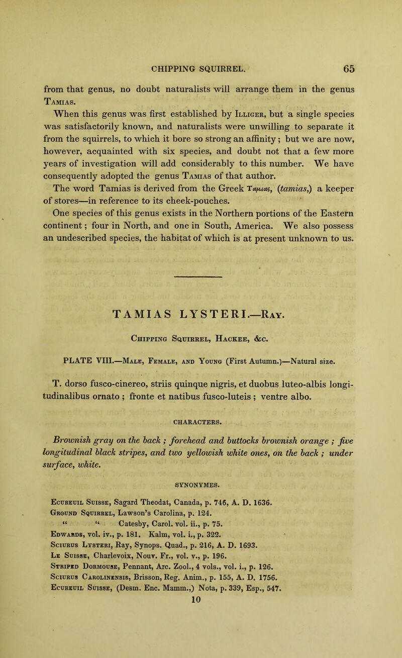 from that genus, no doubt naturalists will arrange them in the genus Tamias. When this genus was first established by Illiger, but a single species was satisfactorily known, and naturalists were unwilling to separate it from the squirrels, to which it bore so strong an affinity; but we are now, however, acquainted with six species, and doubt not that a few more years of investigation will add considerably to this number. We have consequently adopted the genus Tamias of that author. The word Tamias is derived from the Greek Tunica, (tamias,) a keeper of stores—in reference to its cheek-pouches. One species of this genus exists in the Northern portions of the Eastern continent; four in North, and one in South, America. We also possess an undescribed species, the habitat of which is at present unknown to us. TAMIAS LYSTERI.—Ray. Chipping Squirrel, Hackee, &c. PLATE VIII.—Male, Female, and Young (First Autumn.)—Natural size. T. dorso fusco-cinereo, striis quinque nigris, et duobus luteo-albis longi- tudinalibus ornato ; fronte et natibus fusco-luteis ; ventre albo. CHARACTERS. Brownish gray on the hack ; forehead and buttocks brownish orange ; five longitudinal black stripes, and two yellowish white ones, on the back ; under surface, white. SYNONYMES. Ecureuil Suisse, Sagard Theodat, Canada, p. 746, A. D. 1636. Ground Squirrel, Lawson’s Carolina, p. 124. “ “ Catesby, Carol, vol. ii., p. 75. Edwards, vol. iv., p. 181. Kalm, vol. i., p. 322. Sciurus Lysteri, Ray, Synops. Quad., p. 216, A. D. 1693. Le Suisse, Charlevoix, Nouv. Fr., vol. v., p. 196. Striped Dormouse, Pennant, Arc. Zool., 4 vols., vol. i., p. 126. Sciurus Carolinensis, Brisson, Reg. Anim., p. 155, A. D. 1756. Ecureuil Suisse, (Desm. Enc. Mamm.,) Nota, p. 339, Esp., 547. 10