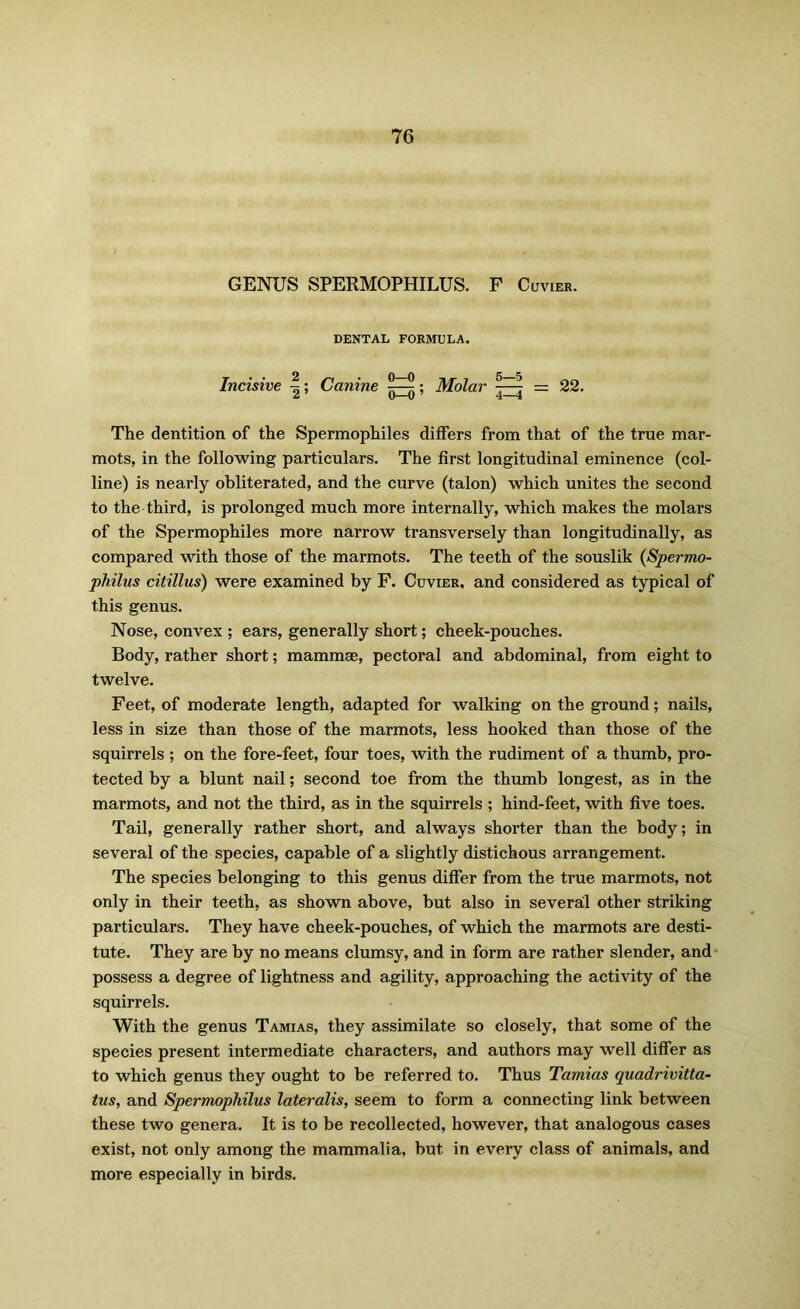 GENUS SPERMOPHILUS. F Cuvier. DENTAL FORMULA. Incisive \; Canine Molar j = 22. The dentition of the Spermophiles differs from that of the true mar- mots, in the following particulars. The first longitudinal eminence (col- line) is nearly obliterated, and the curve (talon) which unites the second to the third, is prolonged much more internally, which makes the molars of the Spermophiles more narrow transversely than longitudinally, as compared with those of the marmots. The teeth of the souslik (Spermo- philus citillus) were examined by F. Cuvier, and considered as typical of this genus. Nose, convex ; ears, generally short; cheek-pouches. Body, rather short; mammae, pectoral and abdominal, from eight to twelve. Feet, of moderate length, adapted for walking on the ground; nails, less in size than those of the marmots, less hooked than those of the squirrels ; on the fore-feet, four toes, with the rudiment of a thumb, pro- tected by a blunt nail; second toe from the thumb longest, as in the marmots, and not the third, as in the squirrels ; hind-feet, with five toes. Tail, generally rather short, and always shorter than the body; in several of the species, capable of a slightly distichous arrangement. The species belonging to this genus differ from the true marmots, not only in their teeth, as shown above, but also in several other striking particulars. They have cheek-pouches, of which the marmots are desti- tute. They are by no means clumsy, and in form are rather slender, and possess a degree of lightness and agility, approaching the activity of the squirrels. With the genus Tamias, they assimilate so closely, that some of the species present intermediate characters, and authors may well differ as to which genus they ought to be referred to. Thus Tamias quadrivitta- tus, and Spermophilus lateralis, seem to form a connecting link between these two genera. It is to be recollected, however, that analogous cases exist, not only among the mammalia, but in every class of animals, and more especially in birds.