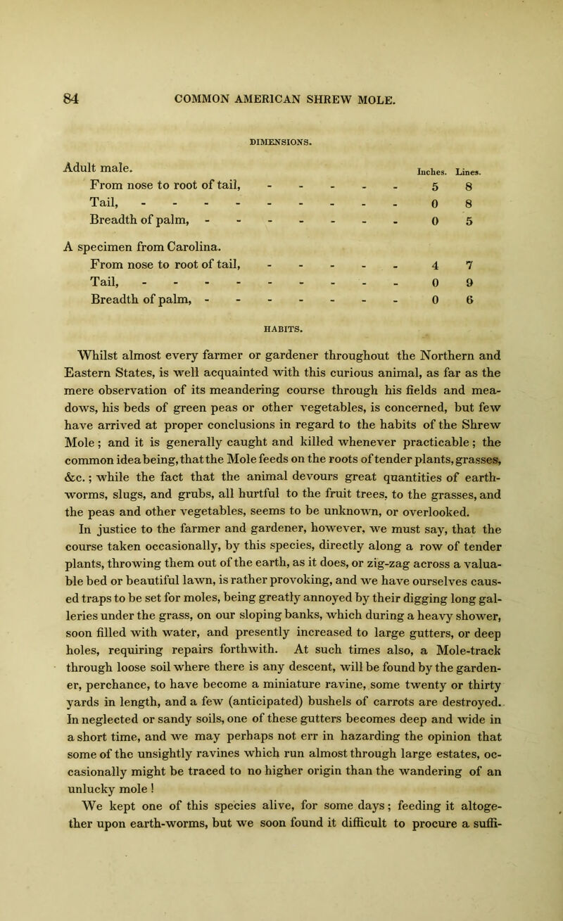DIMENSIONS. Adult male. From nose to root of tail, Tail, - Breadth of palm, Inches. Lines. 5 8 0 8 0 5 A specimen from Carolina. From nose to root of tail, Tail, - Breadth of palm, - 4 7 0 9 0 6 HABITS. Whilst almost every farmer or gardener throughout the Northern and Eastern States, is well acquainted with this curious animal, as far as the mere observation of its meandering course through his fields and mea- dows, his beds of green peas or other vegetables, is concerned, but few have arrived at proper conclusions in regard to the habits of the Shrew Mole; and it is generally caught and killed whenever practicable; the common idea being, that the Mole feeds on the roots of tender plants, grasses, &c.; while the fact that the animal devours great quantities of earth- worms, slugs, and grubs, all hurtful to the fruit trees, to the grasses, and the peas and other vegetables, seems to be unknown, or overlooked. In justice to the farmer and gardener, however, we must say, that the course taken occasionally, by this species, directly along a row of tender plants, throwing them out of the earth, as it does, or zig-zag across a valua- ble bed or beautiful lawn, is rather provoking, and we have ourselves caus- ed traps to be set for moles, being greatly annoyed by their digging long gal- leries under the grass, on our sloping banks, which during a heavy shower, soon filled with water, and presently increased to large gutters, or deep holes, requiring repairs forthwith. At such times also, a Mole-track through loose soil where there is any descent, will be found by the garden- er, perchance, to have become a miniature ravine, some twenty or thirty yards in length, and a few (anticipated) bushels of carrots are destroyed. In neglected or sandy soils, one of these gutters becomes deep and wide in a short time, and we may perhaps not err in hazarding the opinion that some of the unsightly ravines which run almost through large estates, oc- casionally might be traced to no higher origin than the wandering of an unlucky mole ! We kept one of this species alive, for some days; feeding it altoge- ther upon earth-worms, but we soon found it difficult to procure a suffi-