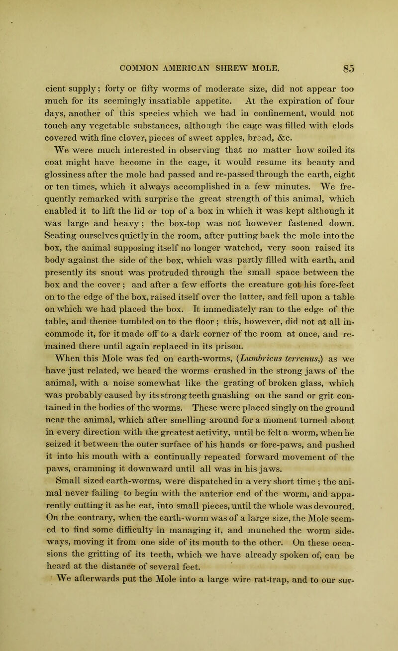 cient supply; forty or fifty worms of moderate size, did not appear too much for its seemingly insatiable appetite. At the expiration of four days, another of this species which we had in confinement, would not touch any vegetable substances, although ihe cage was filled with clods covered with fine clover, pieces of sweet apples, bread, &c. We were much interested in observing that no matter how soiled its coat might have become in the cage, it would resume its beauty and glossiness after the mole had passed and re-passed through the earth, eight or ten times, which it always accomplished in a few minutes. We fre- quently remarked with surprise the great strength of this animal, which enabled it to lift the lid or top of a box in which it was kept although it was large and heavy; the box-top was not however fastened down. Seating ourselves quietly in the room, after putting back the mole into the box, the animal supposing itself no longer watched, very soon raised its body against the side of the box, which was partly filled with earth, and presently its snout was protruded through the small space between the box and the cover; and after a few efforts the creature got his fore-feet on to the edge of the box, raised itself over the latter, and fell upon a table on which we had placed the box. It immediately ran to the edge of the table, and thence tumbled on to the floor; this, however, did not at all in- commode it, for it made off to a dark corner of the room at once, and re- mained there until again replaced in its prison. When this Mole was fed on earth-worms, (Lumbricus terrenus,) as we have just related, we heard the worms crushed in the strong jaws of the animal, with a noise somewhat like the grating of broken glass, which was probably caused by its strong teeth gnashing on the sand or grit con- tained in the bodies of the worms. These were placed singly on the ground near the animal, which after smelling around for a moment turned about in every direction with the greatest activity, until he felt a worm, when he seized it between the outer surface of his hands or fore-paws, and pushed it into his mouth with a continually repeated forward movement of the paws, cramming it downward until all was in his jaws. Small sized earth-worms, were dispatched in a very short time ; the ani- mal never failing to begin with the anterior end of the worm, and appa- rently cutting it as he eat, into small pieces, until the whole was devoured. On the contrary, when the earth-worm was of a large size, the Mole seem- ed to find some difficulty in managing it, and munched the worm side- ways, moving it from one side of its mouth to the other. On these occa- sions the gritting of its teeth, which we have already spoken of, can be heard at the distance of several feet. We afterwards put the Mole into a large wire rat-trap, and to our sur-