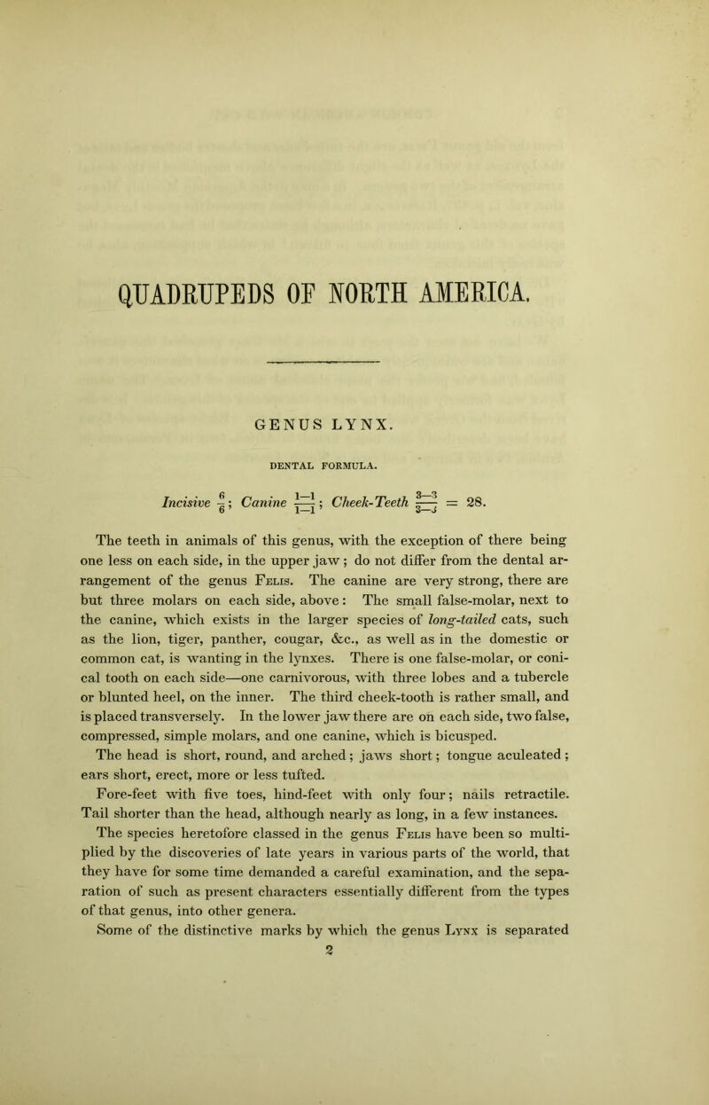 QUADRUPEDS OF NORTH AMERICA. GENUS LYNX. DENTAL FORMULA. Incisive ~; Canine ; Cheek-Teeth j~—7 = 28. The teeth in animals of this genus, with the exception of there being one less on each side, in the upper jaw; do not differ from the dental ar- rangement of the genus Felis. The canine are very strong, there are but three molars on each side, above: The small false-molar, next to the canine, which exists in the larger species of long-tailed cats, such as the lion, tiger, panther, cougar, &c., as well as in the domestic or common cat, is wanting in the lynxes. There is one false-molar, or coni- cal tooth on each side—one carnivorous, with three lobes and a tubercle or blunted heel, on the inner. The third cheek-tooth is rather small, and is placed transversely. In the lower jaw there are on each side, two false, compressed, simple molars, and one canine, which is bicusped. The head is short, round, and arched ; jaws short; tongue aculeated ; ears short, erect, more or less tufted. Fore-feet with five toes, hind-feet with only four; nails retractile. Tail shorter than the head, although nearly as long, in a few instances. The species heretofore classed in the genus Felis have been so multi- plied by the discoveries of late years in various parts of the world, that they have for some time demanded a careful examination, and the sepa- ration of such as present characters essentially different from the types of that genus, into other genera. Some of the distinctive marks by which the genus Lynx is separated