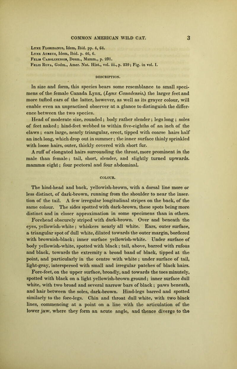 Lynx Floridanus, Idem, Ibid. pp. 4, G4. Lynx Aureus, Idem, Ibid. p. 46, 6. Felis Carolinensis, Desm., Mamm., p. 231. Felis Rufa, Godm., Amer. Nat. Hist., vol. iii., p. 239; Fig. in vol. I. DESCRIPTION. In size and form, this species bears some resemblance to small speci- mens of the female Canada Lynx, (Lynx Canadensis,) the larger feet and more tufted ears of the latter, however, as well as its grayer colour, will enable even an unpractised observer at a glance to distinguish the differ- ence between the two species. Head of moderate size, rounded; body rather slender; legs long ; soles of feet naked; hind-feet webbed to within five-eighths of an inch of the claws ; ears large, nearly triangular, erect, tipped with coarse hairs half an inch long, which drop out in summer; the inner surface thinly sprinkled with loose hairs, outer, thickly covered with short fur. A ruff of elongated hairs surrounding the throat, more prominent in the male than female; tail, short, slender, and slightly turned upwards, mammae eight; four pectoral and four abdominal. COLOUR. The hind-head and back, yellowish-brown, with a dorsal line more or less distinct, of dark-brown, running from the shoulder to near the inser- tion of the tail. A few irregular longitudinal stripes on the back, of the same colour. The sides spotted with dark-brown, these spots being more distinct and in closer approximation in some specimens than in others. Forehead obscurely striped with dark-brown. Over and beneath the eyes, yellowish-white ; whiskers nearly all white. Ears, outer surface, a triangular spot of dull white, dilated towards the outer margin, bordered with brownish-black; inner surface yellowish-white. Under surface of body yellowish-white, spotted with black; tail, above, barred with rufous and black, towards the extremity a broad band of black, tipped at the point, and particularly in the centre with white ; under surface of tail, light-gray, interspersed with small and irregular patches of black hairs. Fore-feet, on the upper surface, broadly, and towards the toes minutely, spotted with black on a light yellowish-brown ground; inner surface dull white, with two broad and several narrow bars of black; paws beneath, and hair between the soles, dark-brown. Hind-legs barred and spotted similarly to the fore-legs. Chin and throat dull white, with two black lines, commencing at a point on a line with the articulation of the lower jaw, where they form an acute angle, and thence diverge to the