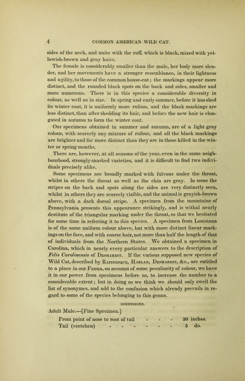 sides of the neck, and unite with the ruff, which is black, mixed with yel- lowish-brown and gray hairs. The female is considerably smaller than the male, her body more slen- der, and her movements have a stronger resemblance, in their lightness and agility, to those of the common house-cat; the markings appear more distinct, and the rounded black spots on the back and sides, smaller and more numerous. There is in this species a considerable diversity in colour, as well as in size. In spring and early summer, before it has shed its winter coat, it is uniformly more rufous, and the black markings are less distinct, than after shedding its hair, and before the new hair is elon- gated in autumn to form the winter coat. Our specimens obtained in summer and autumn, are of a light gray colour, with scarcely any mixture of rufous, and all the black markings are brighter and far more distinct than they are in those killed in the win- ter or spring months. There are, however, at all seasons of the year, even in the same neigh- bourhood, strongly-marked varieties, and it is difficult to find two indivi- duals precisely alike. Some specimens are broadly marked with fulvous under the throat, whilst in others the throat as well as the chin are gray. In some the stripes on the back and spots along the sides are very distinctly seen, whilst in others they are scarcely visible, and the animal is grayish-brown above, with a dark dorsal stripe. A specimen from the mountains of Pennsylvania presents this appearance strikingly, and is withal nearly destitute of the triangular marking under the throat, so that we hesitated for some time in referring it to this species. A specimen from Louisiana is of the same uniform colour above, but with more distinct linear mark- ings on the face, and with coarse hair, not more than half the length of that of individuals from the Northern States. We obtained a specimen in Carolina, which in nearly every particular answers to the description of Felis Carolinensis of Desmarest. If the various supposed new species of Wild Cat, described by Rafinesque, Harlan, Desmarest, &c., are entitled to a place in our Fauna, on account of some peculiarity of colour, we have it in our power from specimens before us, to increase the number to a considerable extent; but in doing so we think we should only swell the list of synonymes, and add to the confusion which already prevails in re- gard to some of the species belonging to this genus. DIMENSIONS. Adult Male.—[Fine Specimen.] From point of nose to root of tail ... 30 inches. Tail (vertebras) ...... 5 do.