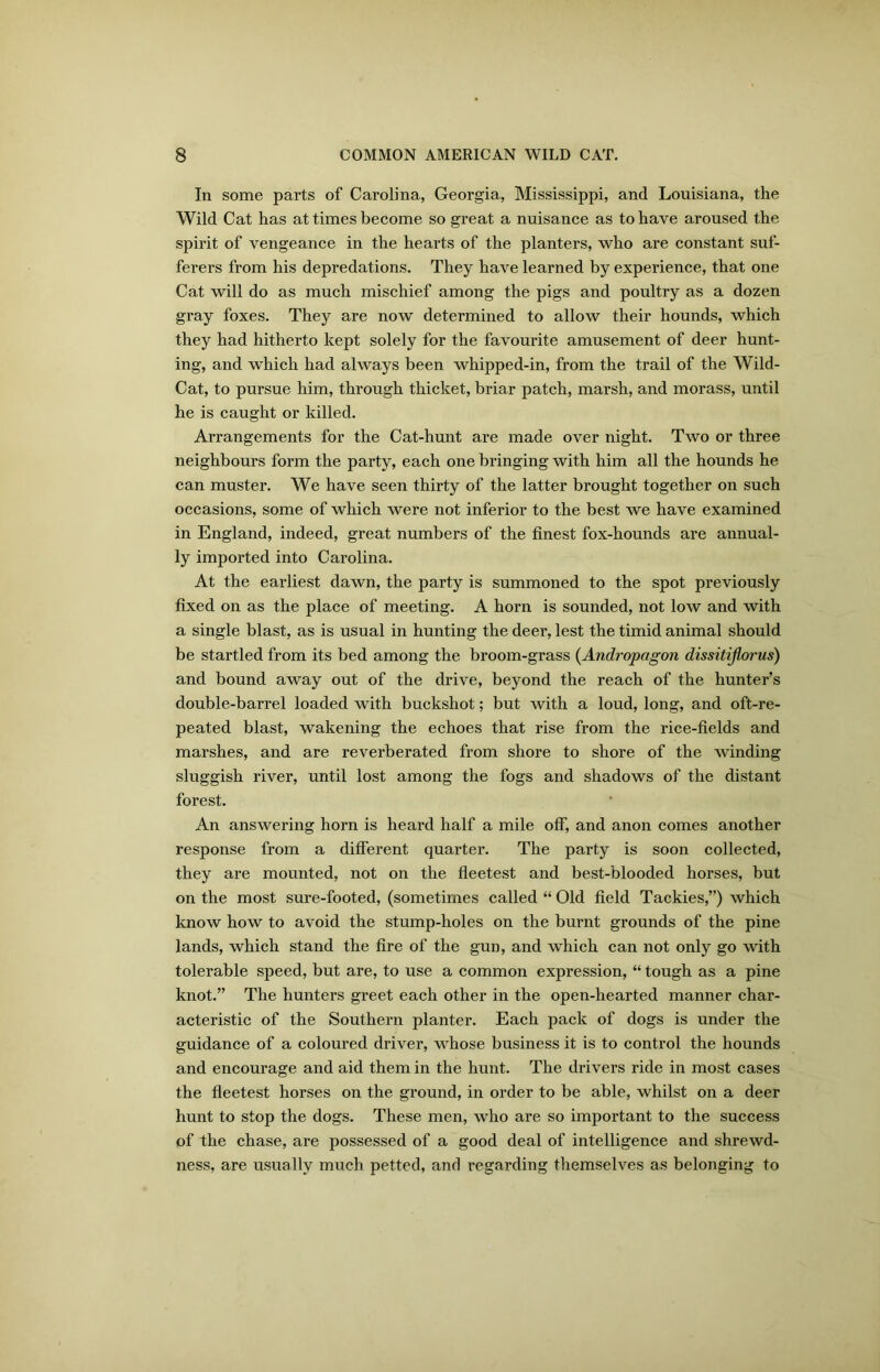 In some parts of Carolina, Georgia, Mississippi, and Louisiana, the Wild Cat has at times become so great a nuisance as to have aroused the spirit of vengeance in the hearts of the planters, who are constant suf- ferers from his depredations. They have learned by experience, that one Cat will do as much mischief among the pigs and poultry as a dozen gray foxes. They are now determined to allow their hounds, which they had hitherto kept solely for the favourite amusement of deer hunt- ing, and which had always been whipped-in, from the trail of the Wild- Cat, to pursue him, through thicket, briar patch, marsh, and morass, until he is caught or killed. Arrangements for the Cat-hunt are made over night. Two or three neighbours form the party, each one bringing with him all the hounds he can muster. We have seen thirty of the latter brought together on such occasions, some of which were not inferior to the best we have examined in England, indeed, great numbers of the finest fox-hounds are annual- ly imported into Carolina. At the earliest dawn, the party is summoned to the spot previously fixed on as the place of meeting. A horn is sounded, not low and with a single blast, as is usual in hunting the deer, lest the timid animal should be startled from its bed among the broom-grass (Andropagon dissitiflorus) and bound away out of the drive, beyond the reach of the hunter’s double-barrel loaded with buckshot; but with a loud, long, and oft-re- peated blast, wakening the echoes that rise from the rice-fields and marshes, and are reverberated from shore to shore of the winding sluggish river, until lost among the fogs and shadows of the distant forest. An answering horn is heard half a mile off, and anon comes another response from a different quarter. The party is soon collected, they are mounted, not on the fleetest and best-blooded horses, but on the most sure-footed, (sometimes called “ Old field Tackies,”) which know how to avoid the stump-holes on the burnt grounds of the pine lands, which stand the fire of the gun, and which can not only go with tolerable speed, but are, to use a common expression, “ tough as a pine knot.” The hunters greet each other in the open-hearted manner char- acteristic of the Southern planter. Each pack of dogs is under the guidance of a coloured driver, whose business it is to control the hounds and encourage and aid them in the hunt. The drivers ride in most cases the fleetest horses on the ground, in order to be able, whilst on a deer hunt to stop the dogs. These men, who are so important to the success of the chase, are possessed of a good deal of intelligence and shrewd- ness, are usually much petted, and regarding themselves as belonging to