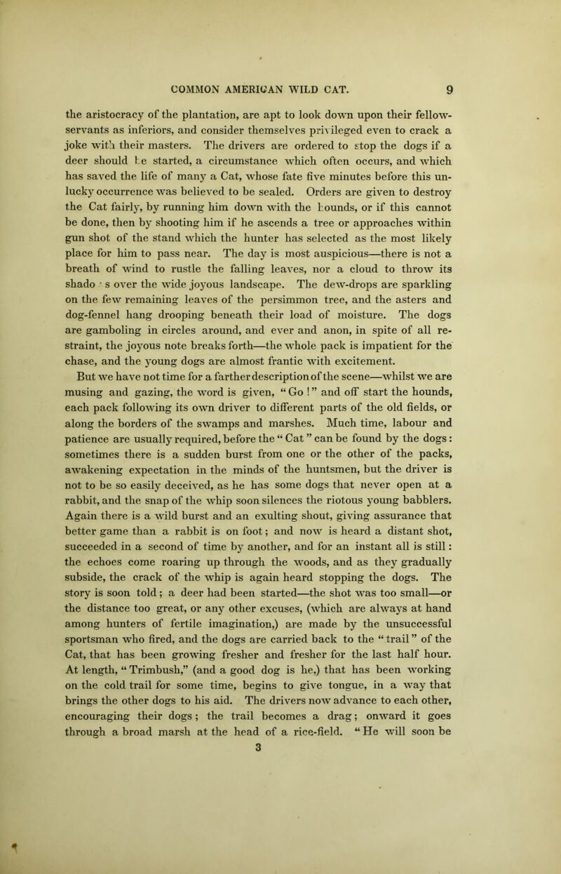 the aristocracy of the plantation, are apt to look down upon their fellow- servants as inferiors, and consider themselves privileged even to crack a joke with their masters. The drivers are ordered to stop the dogs if a deer should he started, a circumstance which often occurs, and which has saved the life of many a Cat, whose fate five minutes before this un- lucky occurrence was believed to be sealed. Orders are given to destroy the Cat fairly, by running him down with the hounds, or if this cannot be done, then by shooting him if he ascends a tree or approaches within gun shot of the stand which the hunter has selected as the most likely place for him to pass near. The day is most auspicious—there is not a breath of wind to rustle the falling leaves, nor a cloud to throw its shado • s over the wide joyous landscape. The dew-drops are sparkling on the few remaining leaves of the persimmon tree, and the asters and dog-fennel hang drooping beneath their load of moisture. The dogs are gamboling in circles around, and ever and anon, in spite of all re- straint, the joyous note breaks forth—the whole pack is impatient for the chase, and the young dogs are almost frantic with excitement. But we have not time for a farther description of the scene—whilst we are musing and gazing, the word is given, “ Go ! ” and off start the hounds, each pack following its own driver to different parts of the old fields, or along the borders of the swamps and marshes. Much time, labour and patience are usually required, before the “ Cat ” can be found by the dogs : sometimes there is a sudden burst from one or the other of the packs, awakening expectation in the minds of the huntsmen, but the driver is not to be so easily deceived, as he has some dogs that never open at a rabbit, and the snap of the whip soon silences the riotous young babblers. Again there is a wild burst and an exulting shout, giving assurance that better game than a rabbit is on foot; and now is heard a distant shot, succeeded in a second of time by another, and for an instant all is still: the echoes come roaring up through the woods, and as they gradually subside, the crack of the whip is again heard stopping the dogs. The story is soon told ; a deer had been started—the shot was too small—or the distance too great, or any other excuses, (which are always at hand among hunters of fertile imagination,) are made by the unsuccessful sportsman who fired, and the dogs are carried back to the “ trail ” of the Cat, that has been growing fresher and fresher for the last half hour. At length, “ Trimbush,” (and a good dog is he,) that has been working on the cold trail for some time, begins to give tongue, in a way that brings the other dogs to his aid. The drivers now advance to each other, encouraging their dogs; the trail becomes a drag; onward it goes through a broad marsh at the head of a rice-field. “ He will soon be 3