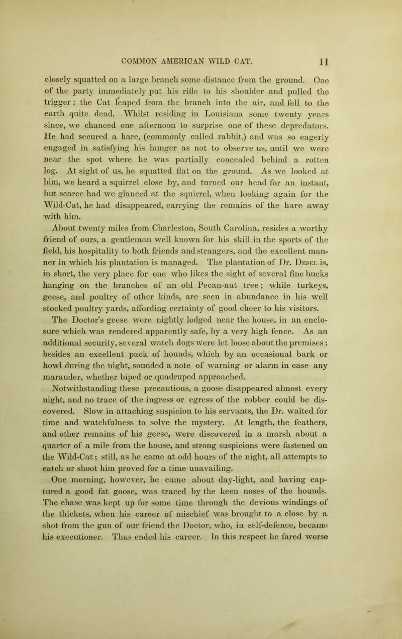 closely squatted on a large branch some distance from the ground. One of the party immediately put his rifle to his shoulder and pulled the trigger : the Cat leaped from the branch into the air, and fell to the earth quite dead. Whilst residing in Louisiana some twenty years since, we chanced one afternoon to surprise one of these depredators. He had secured a hare, (commonly called rabbit,) and was so eagerly engaged in satisfying his hunger as not to observe us, until we were near the spot where he was partially concealed behind a rotten log. At sight of us, he squatted flat on the ground. As we looked at him, we heard a squirrel close by, and turned our head for an instant, but scarce had we glanced at the squirrel, when looking again for the Wild-Cat, he had disappeared, carrying the remains of the hare away with him. About twenty miles from Charleston, South Carolina, resides a worthy friend of ours, a gentleman well known for his skill in the sports of the field, his hospitality to both friends and strangers, and the excellent man- ner in which his plantation is managed. The plantation of Dr. Desel is, in short, the very place for one who likes the sight of several fine bucks hanging on the branches of an old Pecan-nut tree; while turkeys, geese, and poultry of other kinds, are seen in abundance in his well stocked poultry yards, affording certainty of good cheer to his visitors. The Doctor’s geese were nightly lodged near the house, in an enclo- sure which was rendered apparently safe, by a very high fence. As an additional security, several watch dogs were let loose about the premises; besides an excellent pack of hounds, which by an occasional bark or howl during the night, sounded a note of warning or alarm in case any marauder, whether biped or quadruped approached. Notwithstanding these precautions, a goose disappeared almost every night, and no trace of the ingress or egress of the robber could be dis- covered. Slow in attaching suspicion to his servants, the Dr. waited for time and watchfulness to solve the mystery. At length, the feathers, and other remains of his geese, were discovered in a marsh about a quarter of a mile from the house, and strong suspicions were fastened on the Wild-Cat; still, as he came at odd hours of the night, all attempts to catch or shoot him proved for a time unavailing. One morning, however, he came about day-light, and having cap- tured a good fat goose, was traced by the keen noses of the hounds. The chase was kept up for some time through the devious windings of the thickets, when his career of mischief was brought to a close by a shot from the gun of our friend the Doctor, who, in self-defence, became his executioner. Thus ended his career. In this respect he fared worse