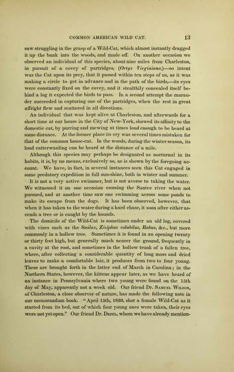 saw struggling in the grasp of a Wild-Cat, which almost instantly dragged it up the bank into the woods, and made off. On another occasion we observed an individual of this species, about nine miles from Charleston, in pursuit of a covey of partridges, (Ortyx Virginiana,)—so intent was the Cat upon its prey, that it passed within ten steps of us, as it was making a circle to get in advance and in the path of the birds,—its eyes were constantly fixed on the covey, and it stealthily concealed itself be- hind a log it expected the birds to pass. In a second attempt the marau- der succeeded in capturing one of the partridges, when the rest in great affright flew and scattered in all directions. An individual that was kept alive at Charleston, and afterwards for a short time at our house in the City of New-York, showed its affinity to the domestic cat, by purring and mewing at times loud enough to be heard at some distance. At the former place its cry was several times mistaken for that of the common house-cat. In the woods, during the winter season, its loud catterwauling can be heard at the distance of a mile. Although this species may perhaps be designated as nocturnal in its habits, it is, by no means, exclusively so, as is shown by the foregoing ac- count. We have, in fact, in several instances seen this Cat engaged in some predatory expedition in full sun-shine, both in winter and summer. It is not a very active swimmer, but is not. averse to taking the water. We witnessed it on one occasion crossing the Santee river when not pursued, and at another time saw one swimming across some ponds to make its escape from the dogs. It has been observed, however, that when it has taken to the water during a hard chase, it soon after either as- cends a tree or is caught by the hounds. The domicile of the Wild-Cat is sometimes under an old log, covered with vines such as the Smilax, Ziziphus volubilus, Rubus, &c., but more commonly in a hollow tree. Sometimes it is found in an opening twenty or thirty feet high, but generally much nearer the ground, frequently in a cavity at the root, and sometimes in the hollow trunk of a fallen tree, where, after collecting a considerable quantity of long moss and dried leaves to make a comfortable lair, it produces from two to four young. These are brought forth in the latter end of March in Carolina; in the Northern States, however, the kittens appear later, as we have heard of an instance in Pennsylvania where two young were found on the 15th day of May, apparently not a week old. Our friend Dr. Samuel Wilson, of Charleston, a close observer of nature, has made the following note in our memorandum book. “April 15th, 1839, shot a female Wild-Cat as it started from its bed, out of which four young ones were taken, their eyes were not yet open.” Our friend Dr. Desel, whom we have already mention-