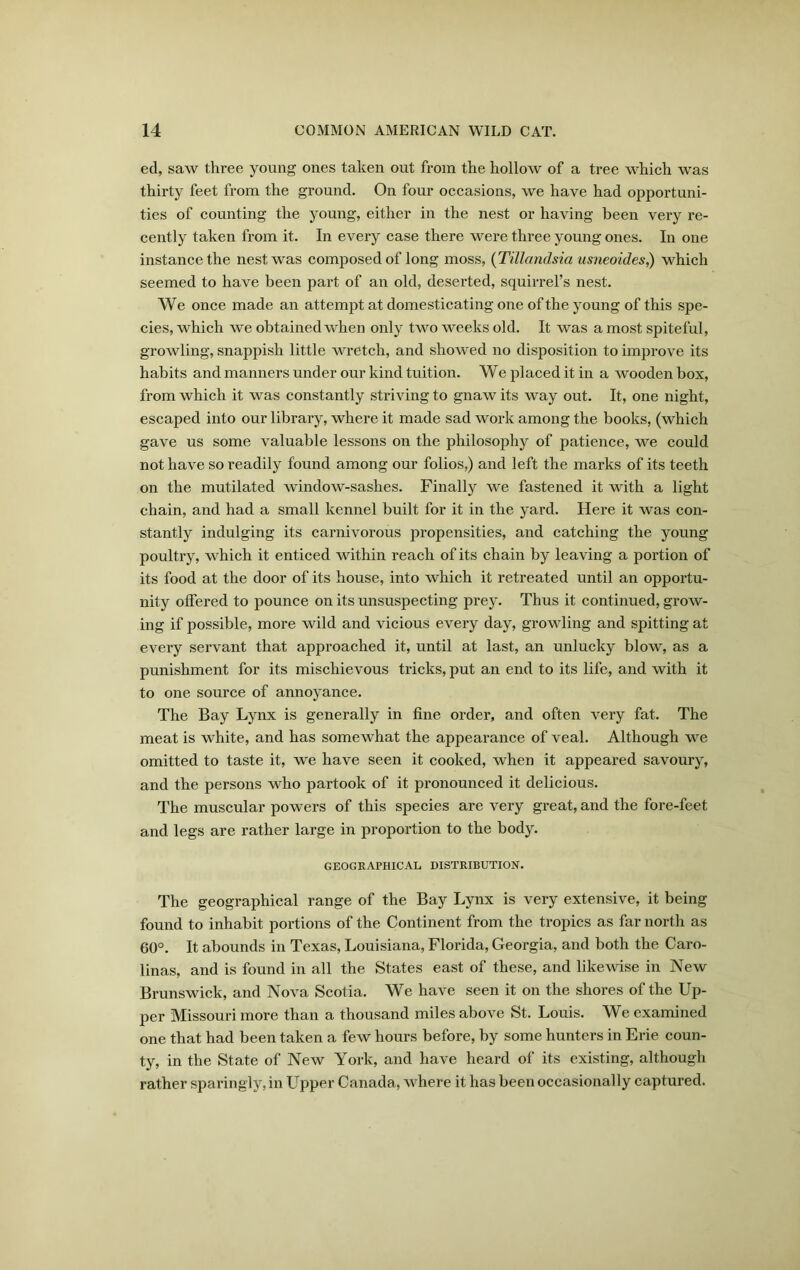 ed, saw three young ones taken out from the hollow of a tree which was thirty feet from the ground. On four occasions, we have had opportuni- ties of counting the young, either in the nest or having been very re- cently taken from it. In every case there were three young ones. In one instance the nest was composed of long moss, (Tillandsia usiieoides,) which seemed to have been part of an old, deserted, squirrel’s nest. We once made an attempt at domesticating one of the young of this spe- cies, which we obtained when only two weeks old. It was a most spiteful, growling, snappish little wretch, and showed no disposition to improve its habits and manners under our kind tuition. We placed it in a wooden box, from which it was constantly striving to gnaw its way out. It, one night, escaped into our library, where it made sad work among the books, (which gave us some valuable lessons on the philosophy of patience, we could not have so readily found among our folios,) and left the marks of its teeth on the mutilated window-sashes. Finally we fastened it with a light chain, and had a small kennel built for it in the yard. Here it was con- stantly indulging its carnivorous propensities, and catching the young poultry, which it enticed within reach of its chain by leaving a portion of its food at the door of its house, into which it retreated until an opportu- nity offered to pounce on its unsuspecting prey. Thus it continued, grow- ing if possible, more wild and vicious every day, growling and spitting at every servant that approached it, until at last, an unlucky blow, as a punishment for its mischievous tricks, put an end to its life, and with it to one source of annoyance. The Bay Lynx is generally in fine order, and often very fat. The meat is white, and has somewhat the appearance of veal. Although we omitted to taste it, we have seen it cooked, when it appeared savoury, and the persons who partook of it pronounced it delicious. The muscular powers of this species are very great, and the fore-feet and legs are rather large in proportion to the body. GEOGRAPHICAL DISTRIBUTION. The geographical range of the Bay Lynx is very extensive, it being found to inhabit portions of the Continent from the tropics as far north as 60°. It abounds in Texas, Louisiana, Florida, Georgia, and both the Caro- linas, and is found in all the States east of these, and likewise in New Brunswick, and Nova Scotia. We have seen it on the shores of the Up- per Missouri more than a thousand miles above St. Louis. We examined one that had been taken a few hours before, by some hunters in Erie coun- ty, in the State of New York, and have heard of its existing, although rather sparingly, in Upper Canada, where it has been occasionally captured.