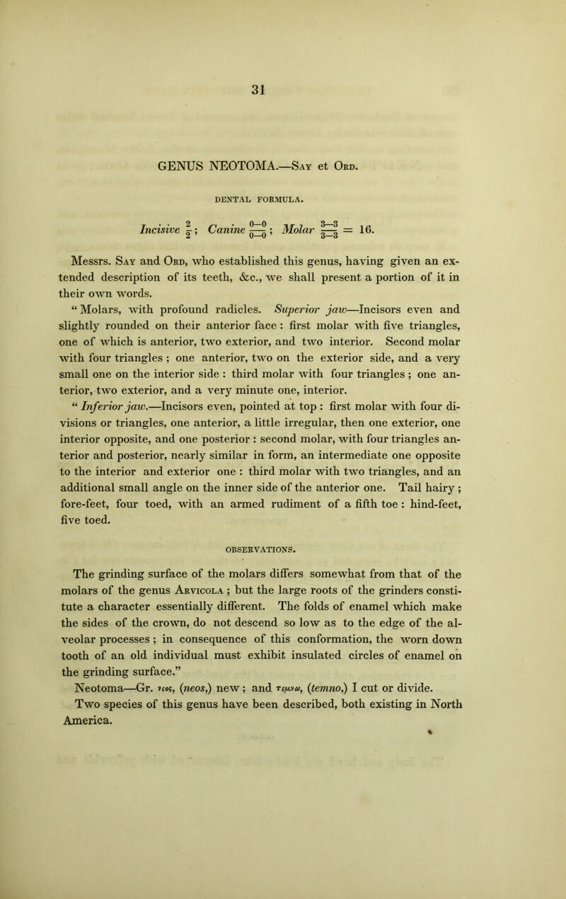 GENUS NEOTOMA.—Say et Ord. DENTAL FORMULA. Incisive |; Canine Molar =16. Messrs. Say and Ord, who established this genus, having given an ex- tended description of its teeth, &c., we shall present a portion of it in their own words. “ Molars, with profound radicles. Superior jaw—Incisors even and slightly rounded on their anterior face : first molar with five triangles, one of which is anterior, two exterior, and two interior. Second molar with four triangles ; one anterior, two on the exterior side, and a very small one on the interior side : third molar with four triangles ; one an- terior, two exterior, and a very minute one, interior. “ Inferior jaw.—Incisors even, pointed at top : first molar with four di- visions or triangles, one anterior, a little irregular, then one exterior, one interior opposite, and one posterior : second molar, with four triangles an- terior and posterior, nearly similar in form, an intermediate one opposite to the interior and exterior one : third molar with two triangles, and an additional small angle on the inner side of the anterior one. Tail hairy ; fore-feet, four toed, with an armed rudiment of a fifth toe : hind-feet, five toed. OBSERVATIONS. The grinding surface of the molars differs somewhat from that of the molars of the genus Arvicola ; but the large roots of the grinders consti- tute a character essentially different. The folds of enamel which make the sides of the crown, do not descend so low as to the edge of the al- veolar processes ; in consequence of this conformation, the worn down tooth of an old individual must exhibit insulated circles of enamel on the grinding surface.” Neotoma—Gr. v£o?, (neos,) new; and rc^a, (temno,) I cut or divide. Two species of this genus have been described, both existing in North America.